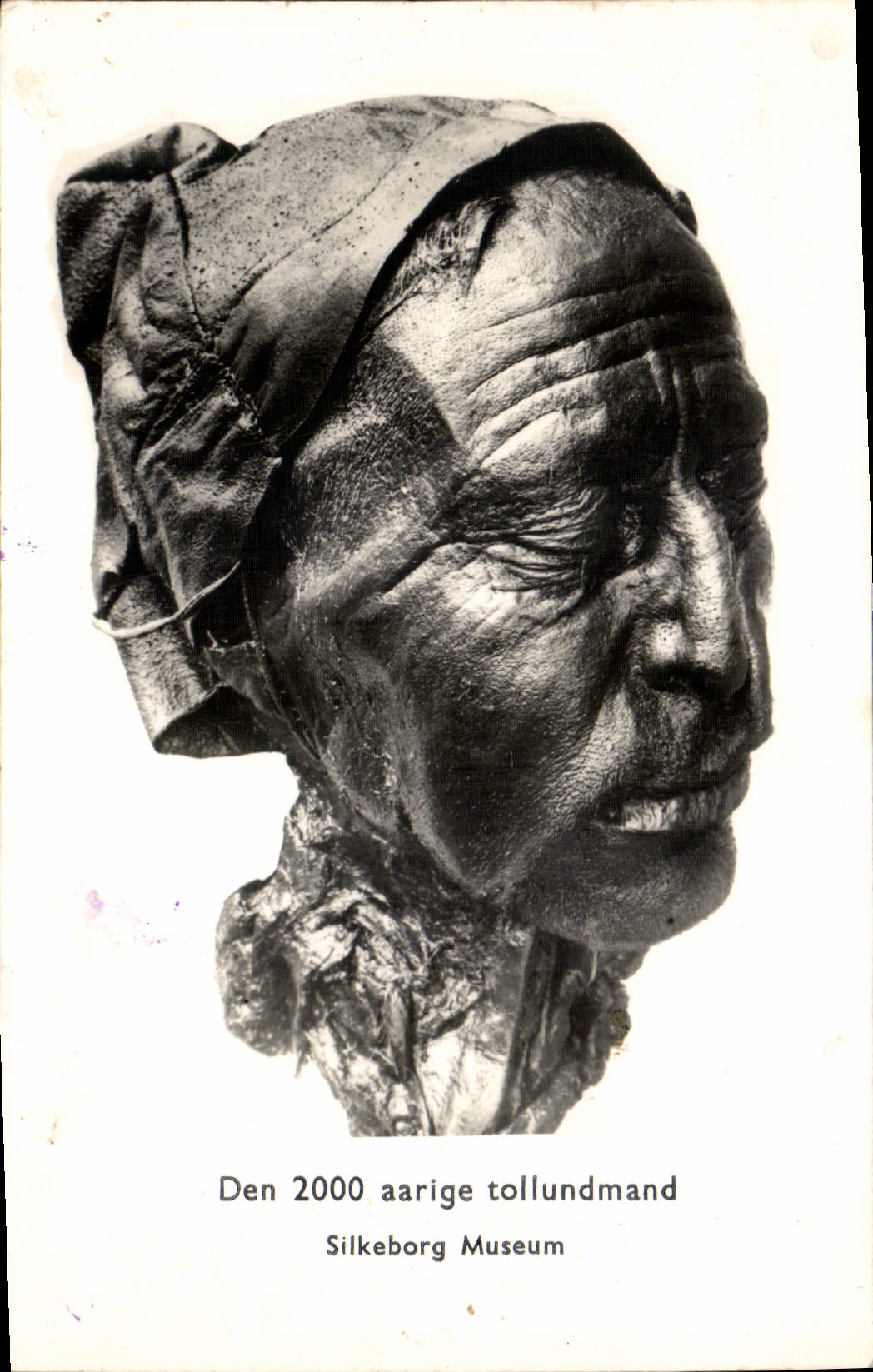CPM Den aarige tollundmand Silkebord Museum 