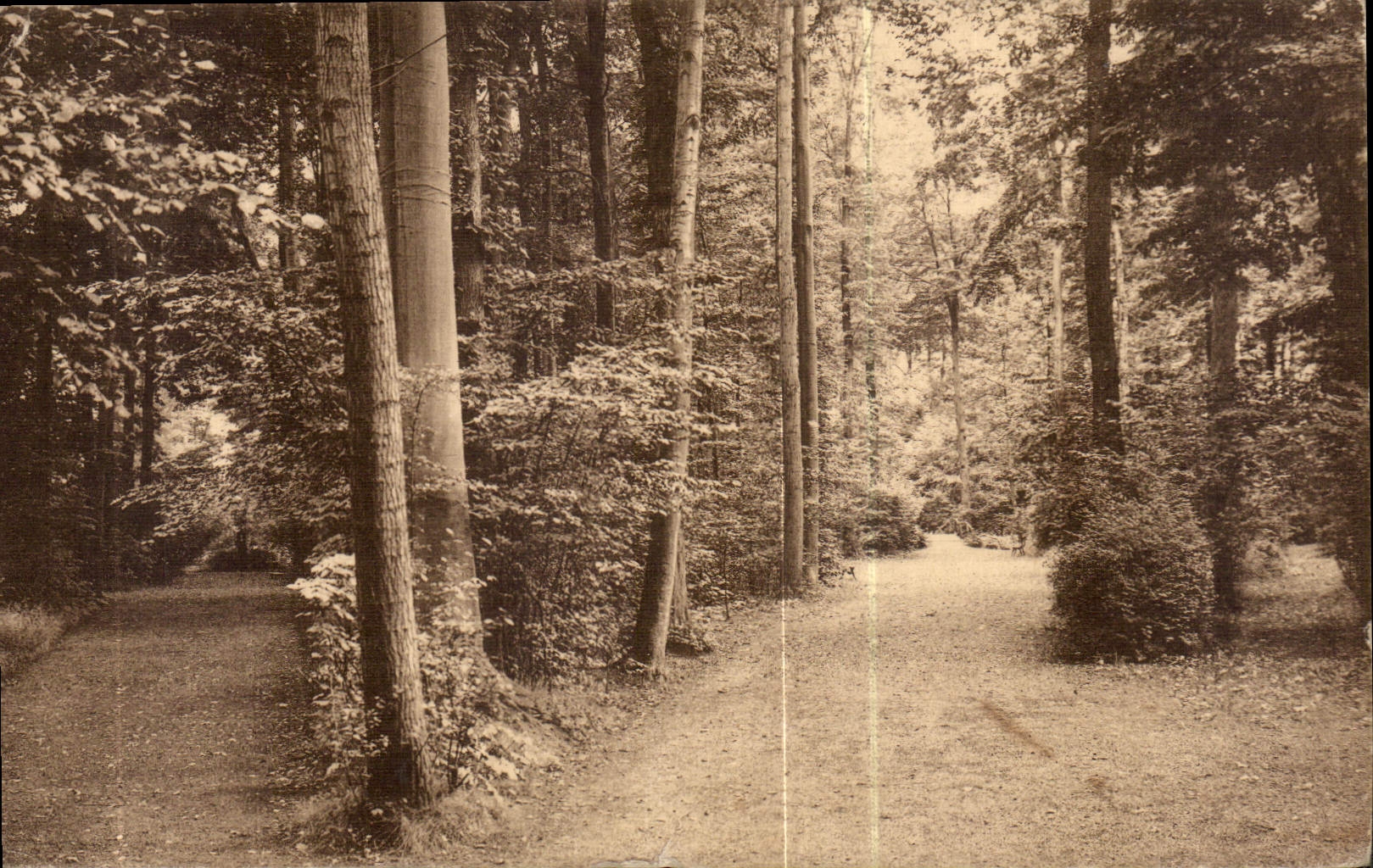 CPA Sacre Coeur de Jette 