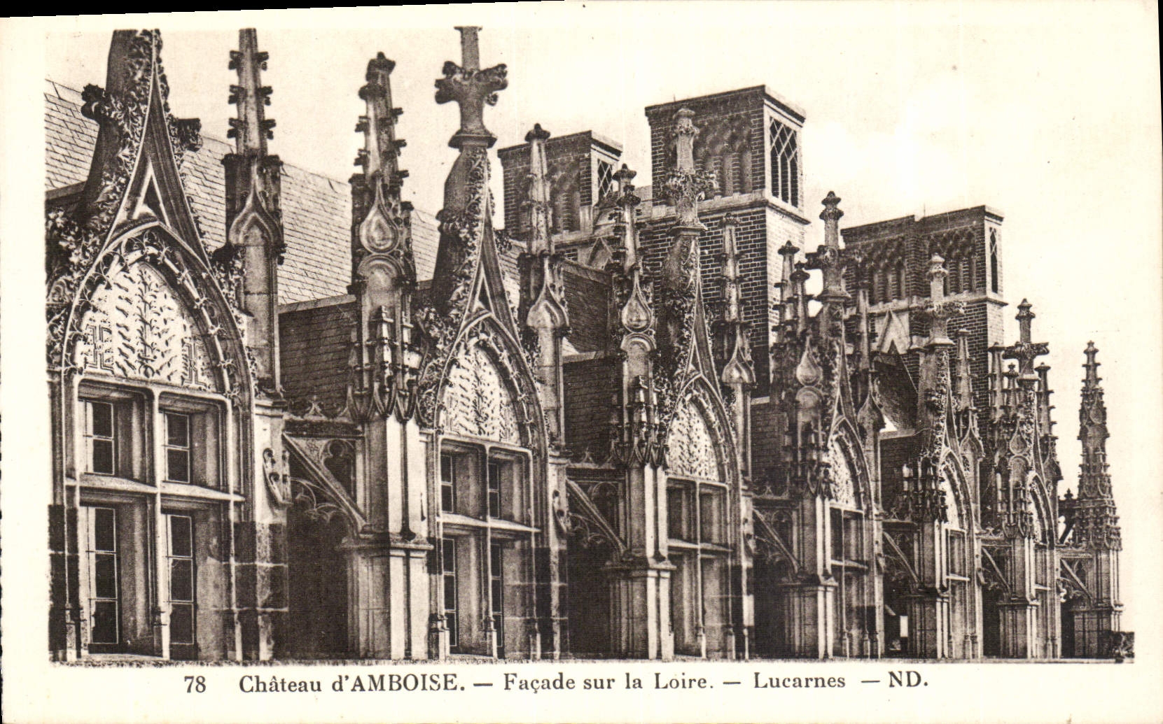 CPA Chateau d'Amboise Facade sur la Loire Lucarnes