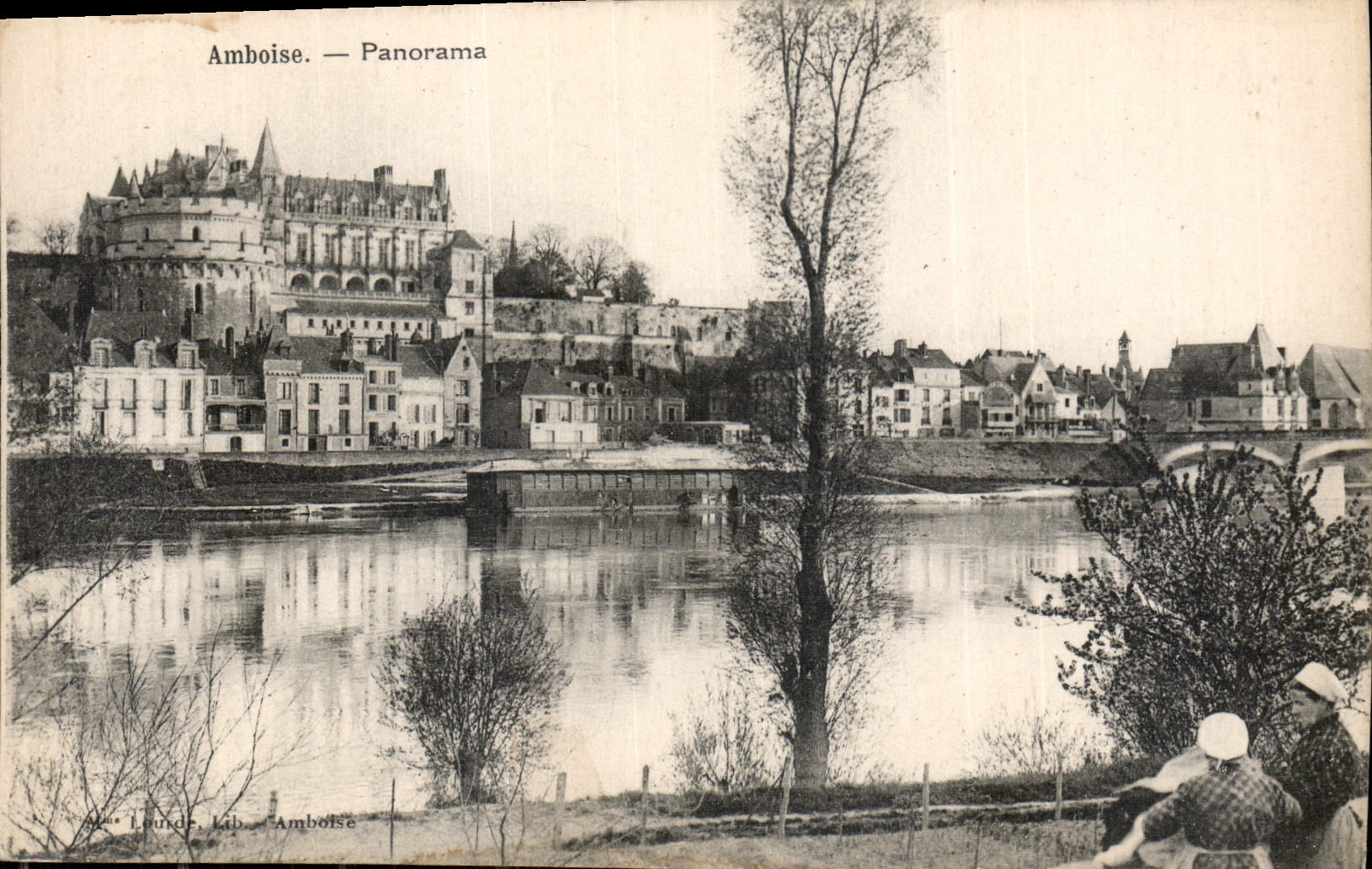CPA Amboise panorama 