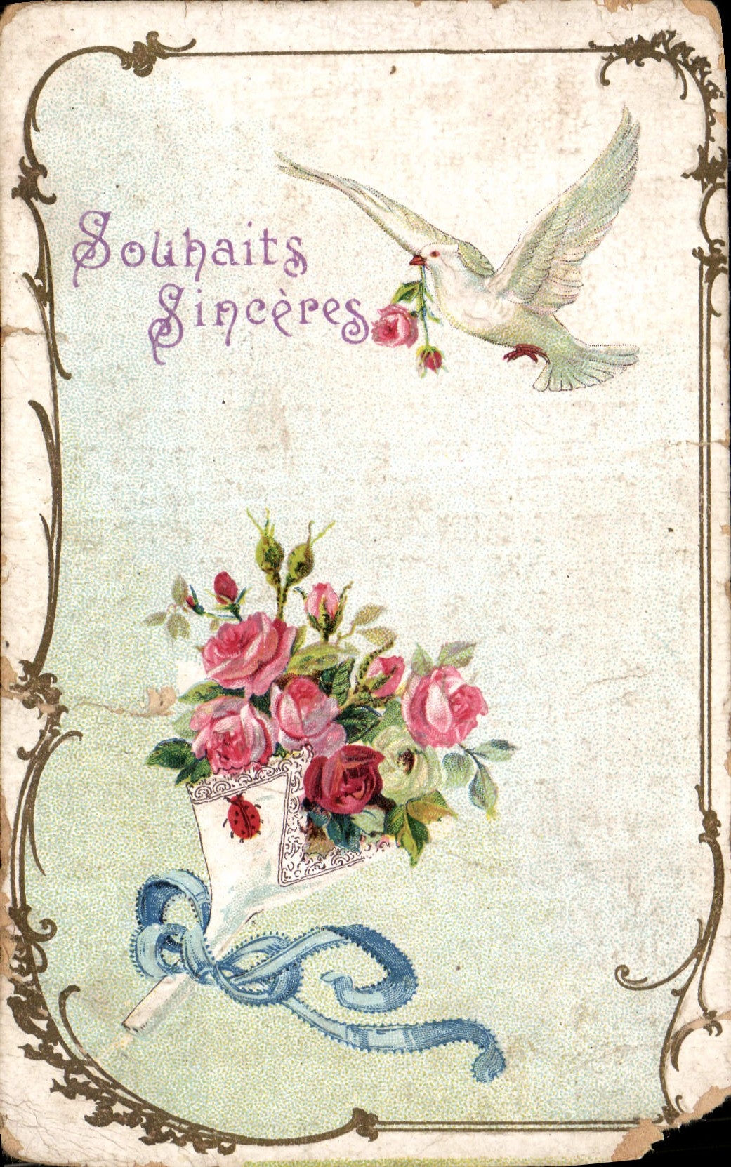 CPA Souhaits Sinceres Fleurs Colombe