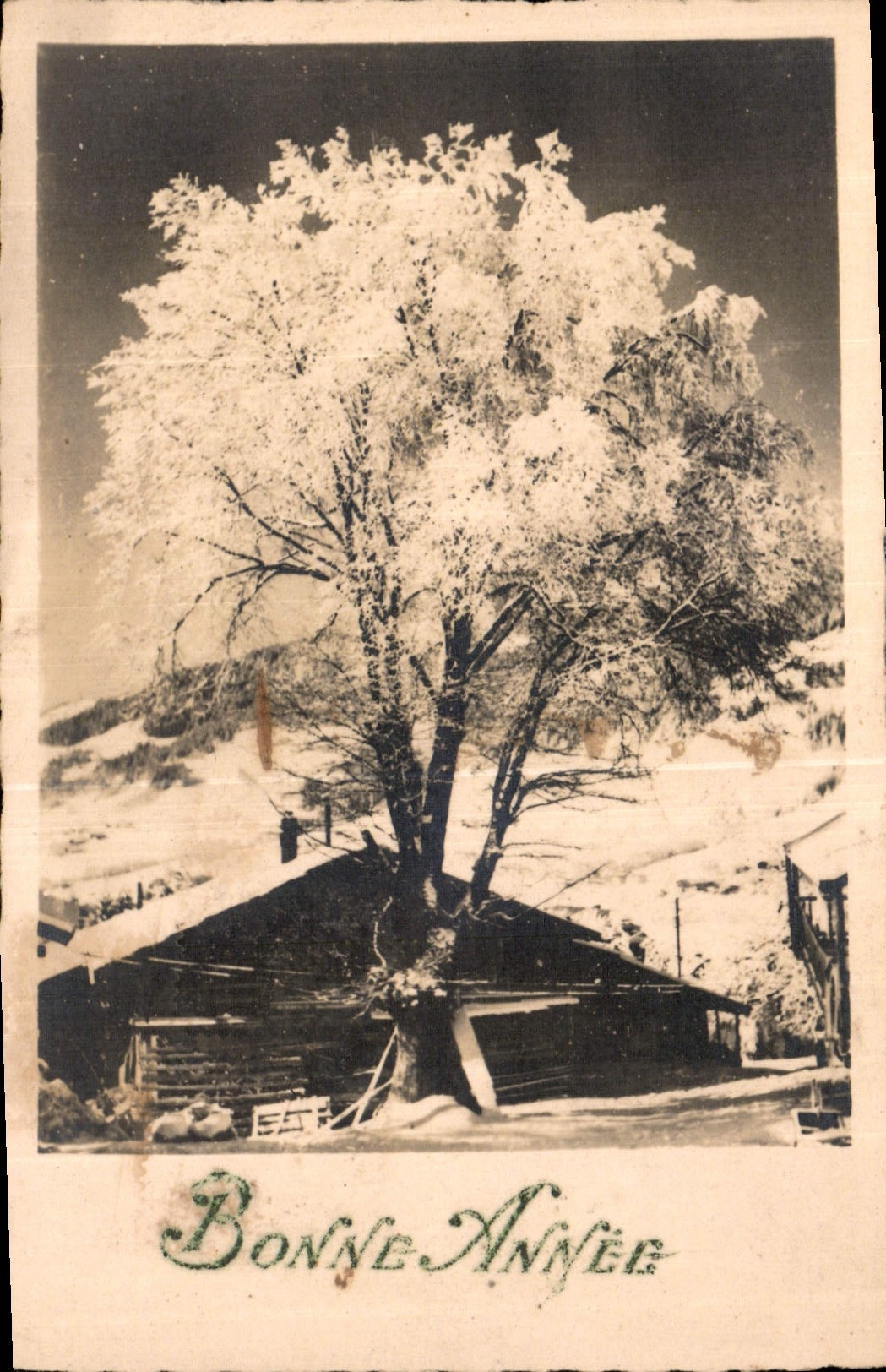 CPA Bonne Annee Arbre