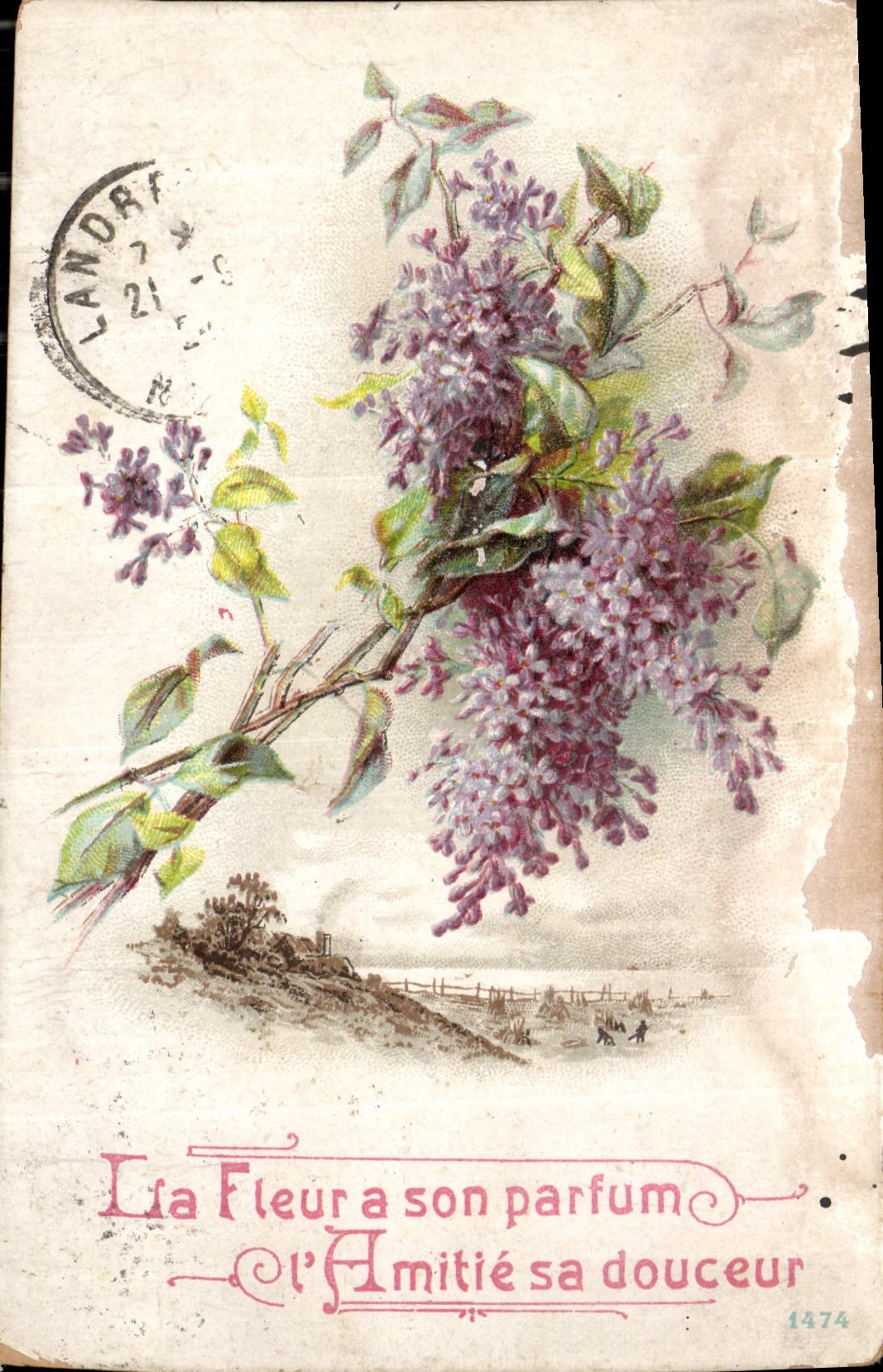 CPA La Fleur a son parfum Amitie sa douceur Fleurs