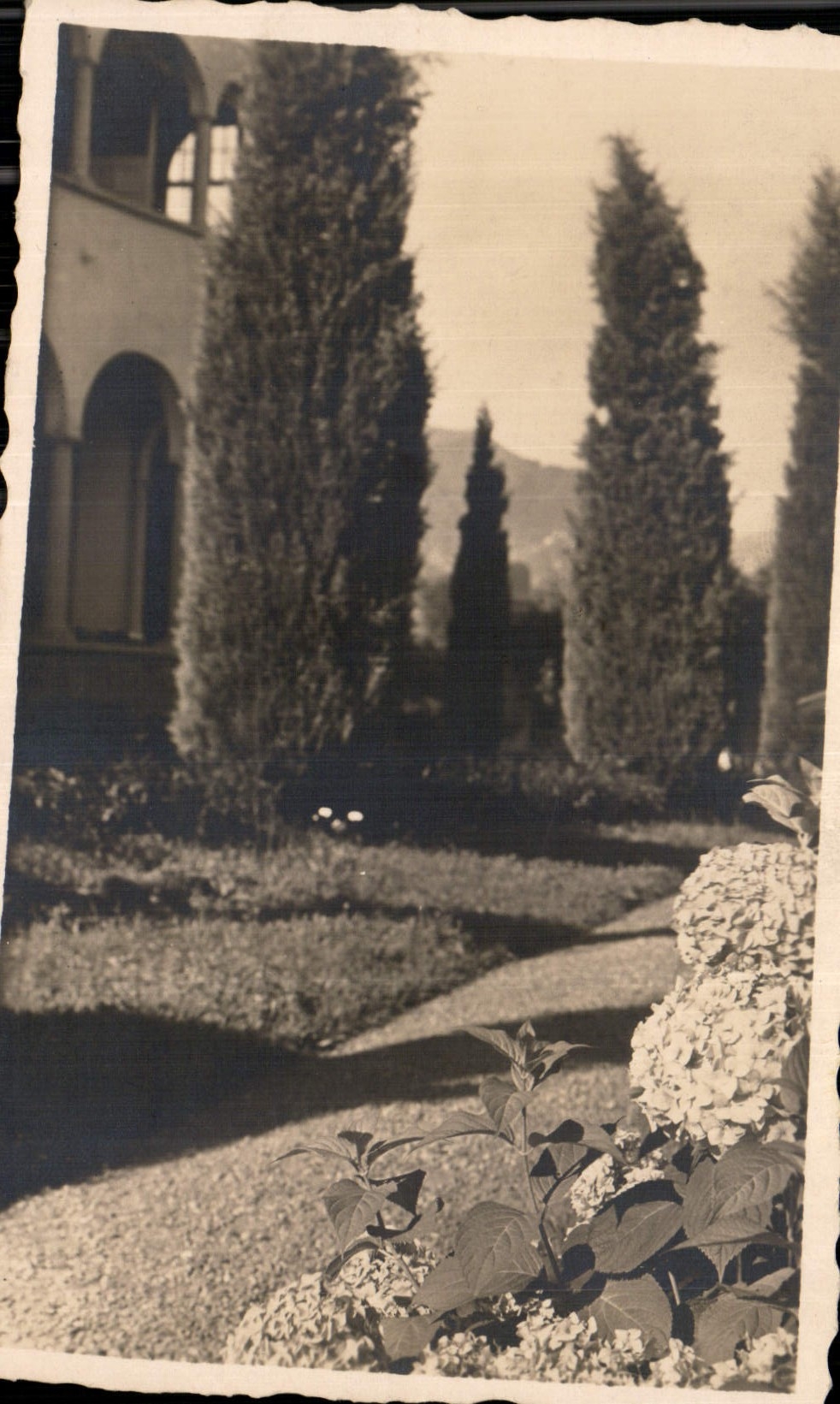 CARTE PHOTO Maison Jardins