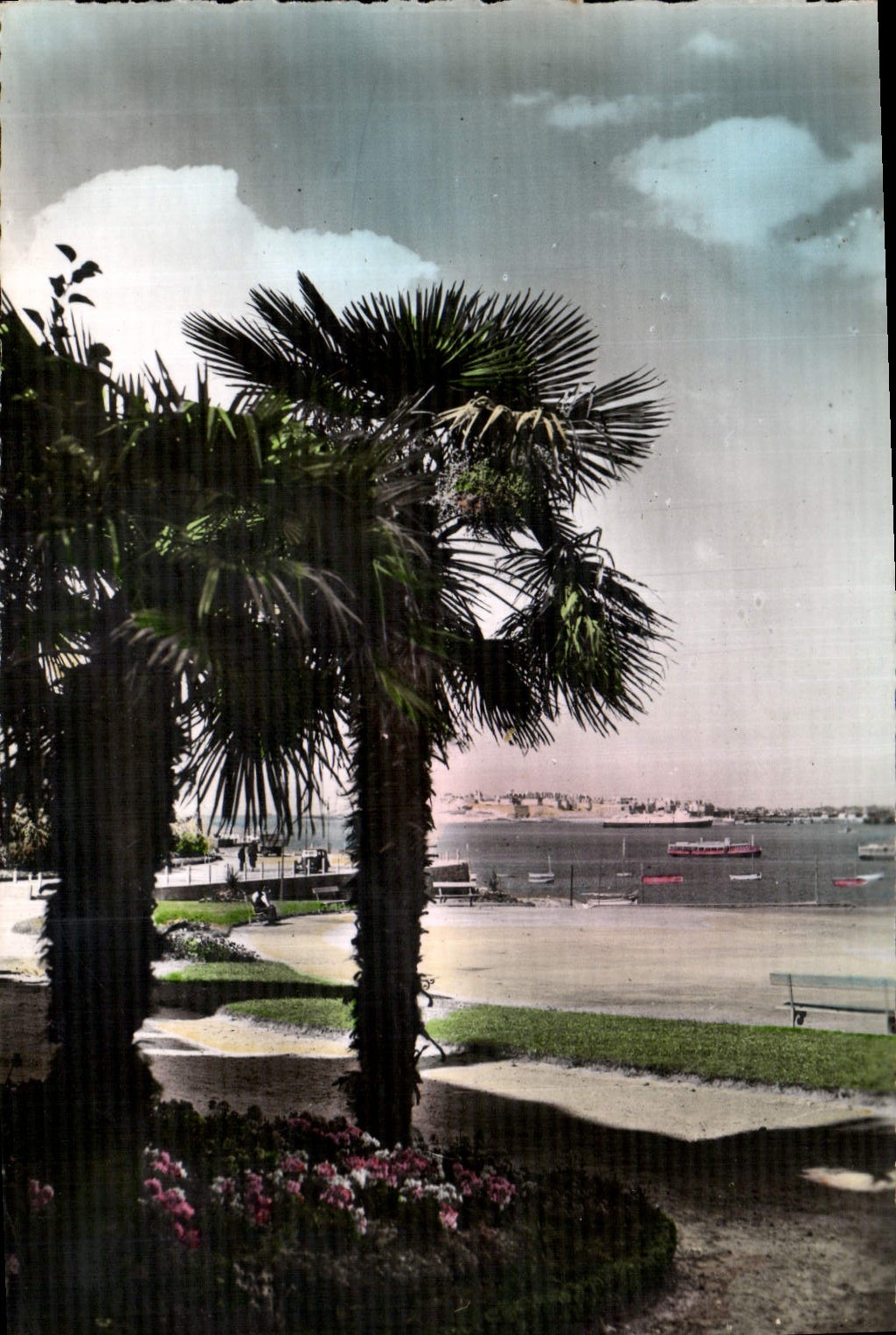 CPM Dinard I & V La palmeraie 