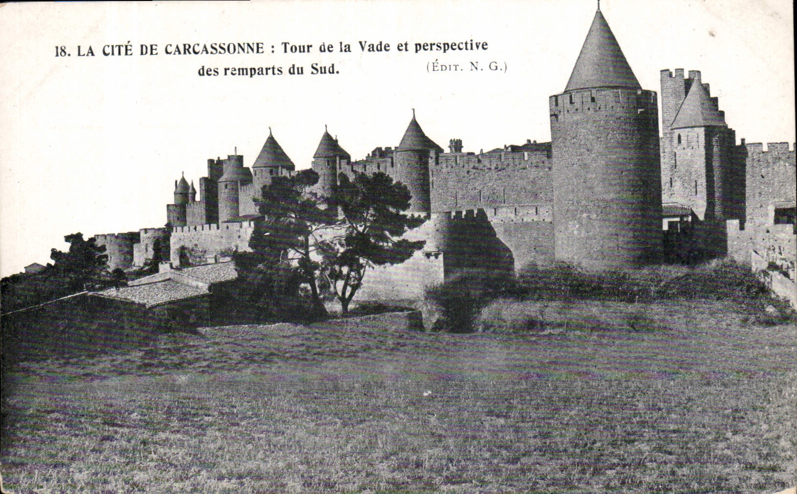 CPA La Cite de Carcassonne Tour de la Vade et perspective des remparts du Sud 