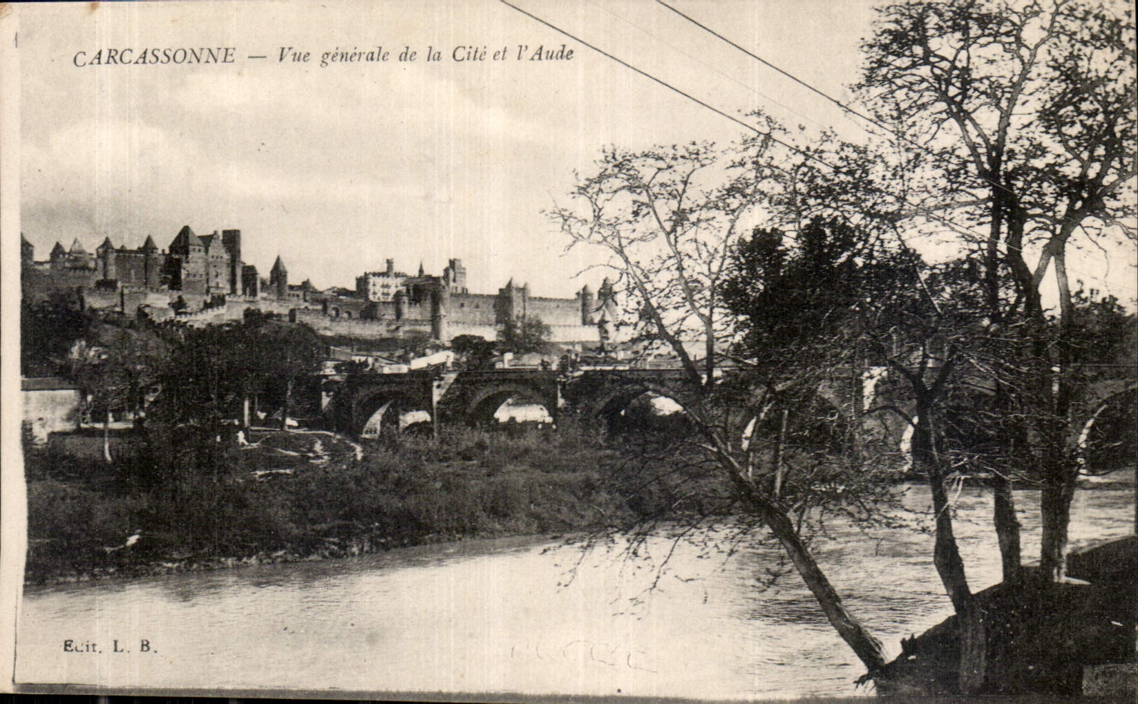 CPA Carcassonne Vue generale de la Cite et l'Aude
