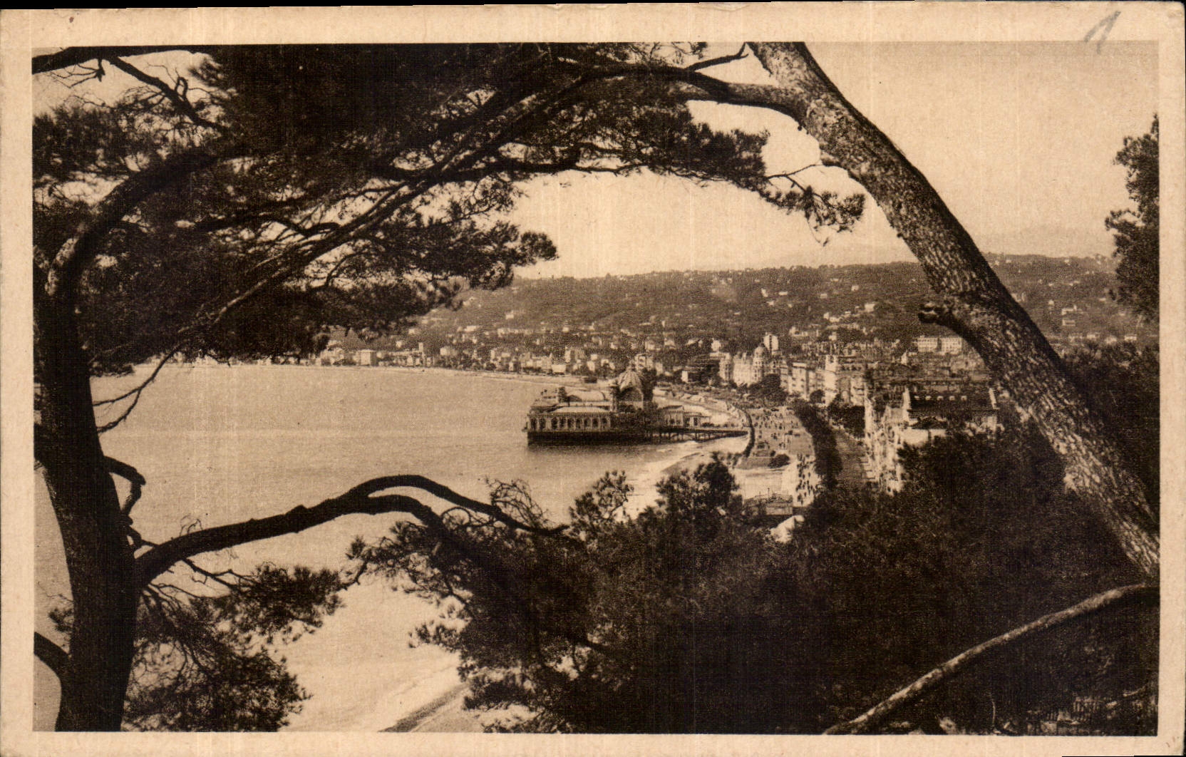 CPA Cote d'Azur Artistique Nice Etude entre les Pins