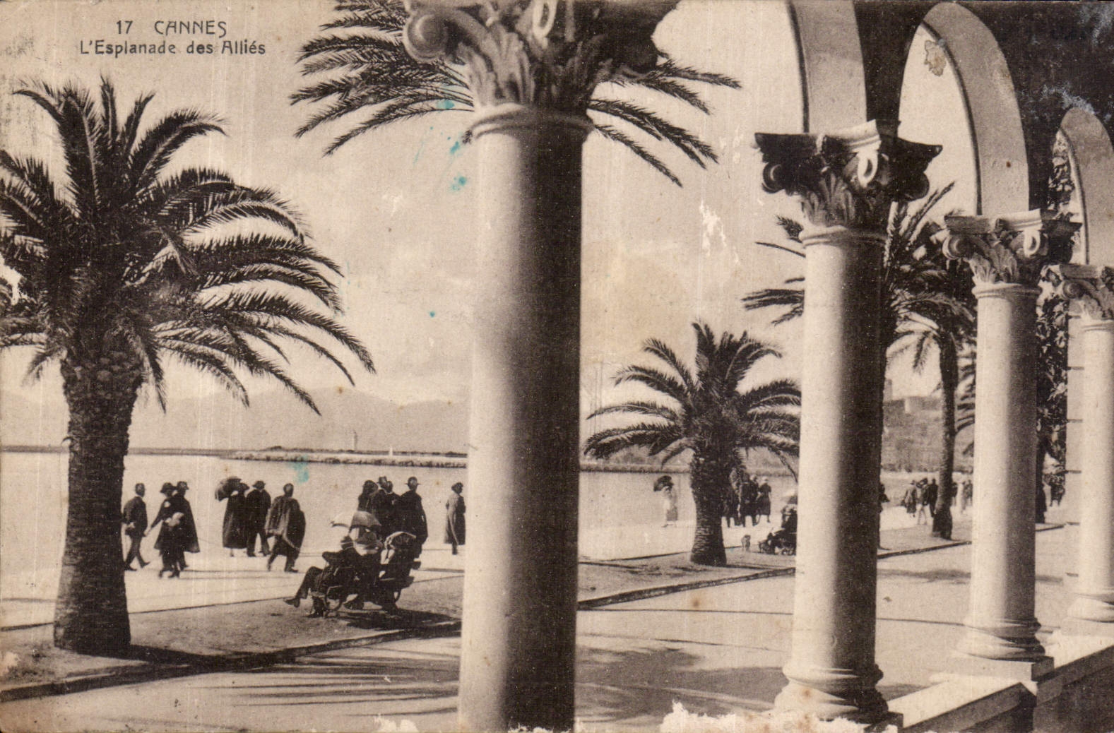 CPA Cannes l'Esplanade des Allies 