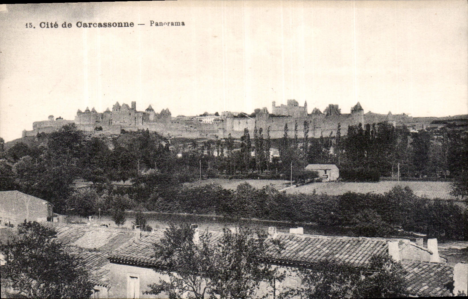 CPA Cite de Carcassonne Panorama 