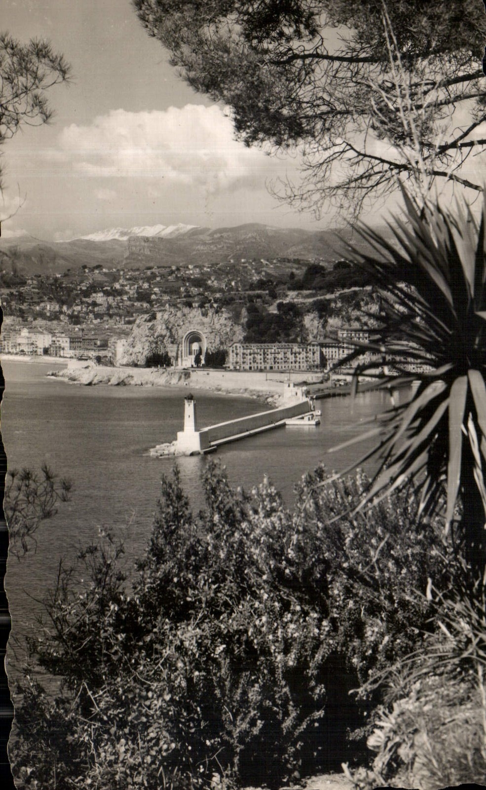 CPA La Cote d'Azur Nice vue prise du Mont Boron