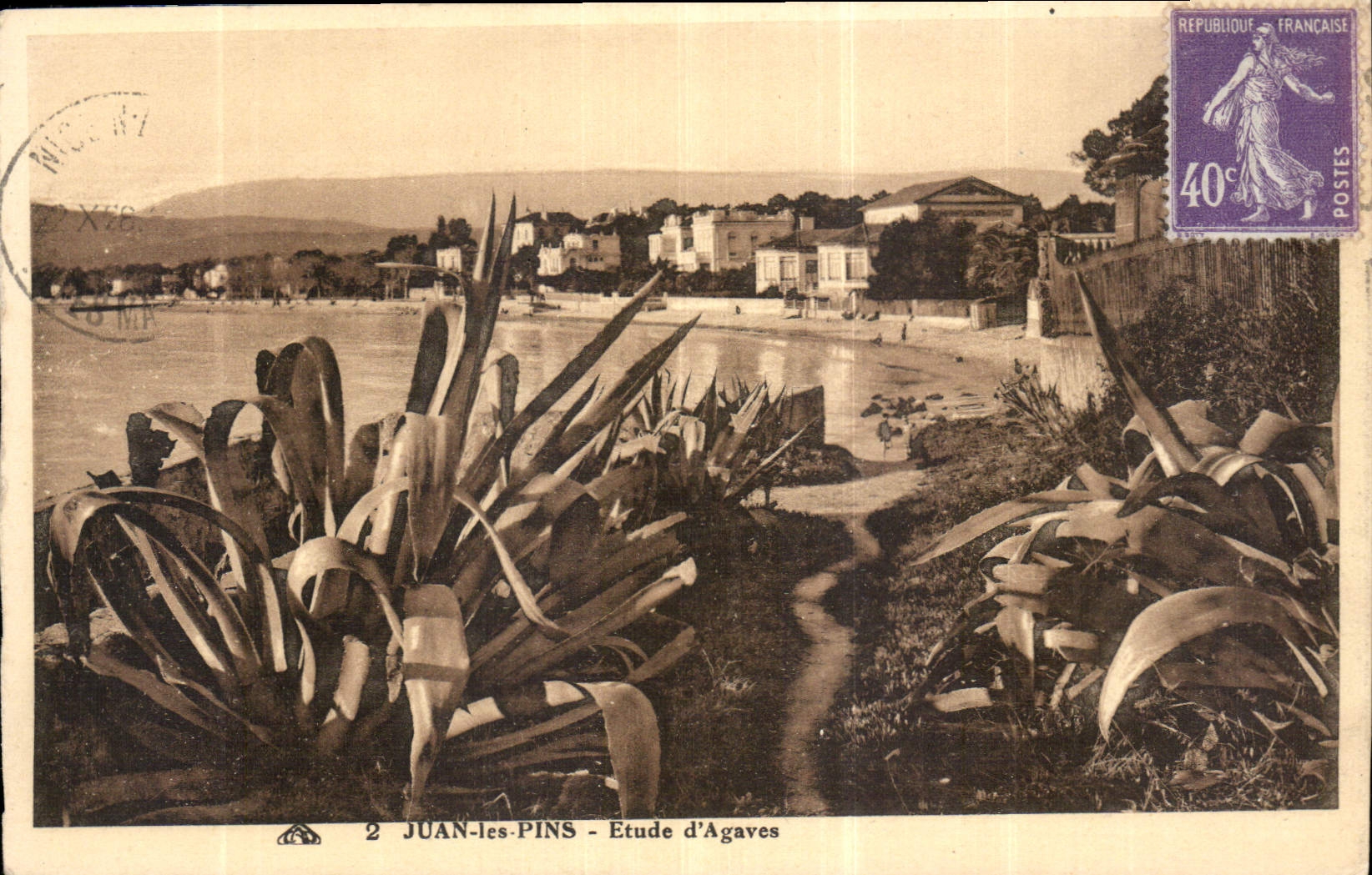 CPA Juan les Pins Etude d'Agaves 