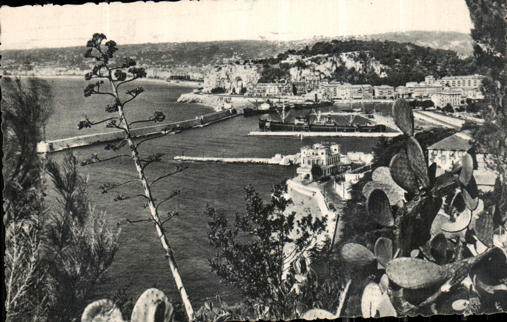 CPA Nice vue generale prise du mont Boron