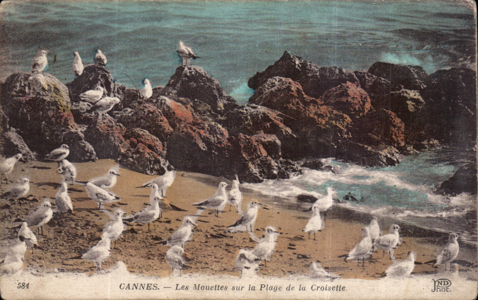 CPA Cannes les Mouettes sur la Plage de la Croisette 
