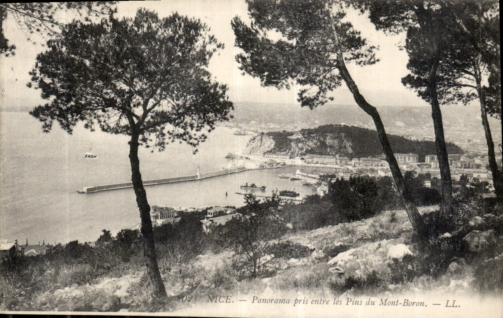 CPA Nice panorama pris entre les Pins du Mont Boron