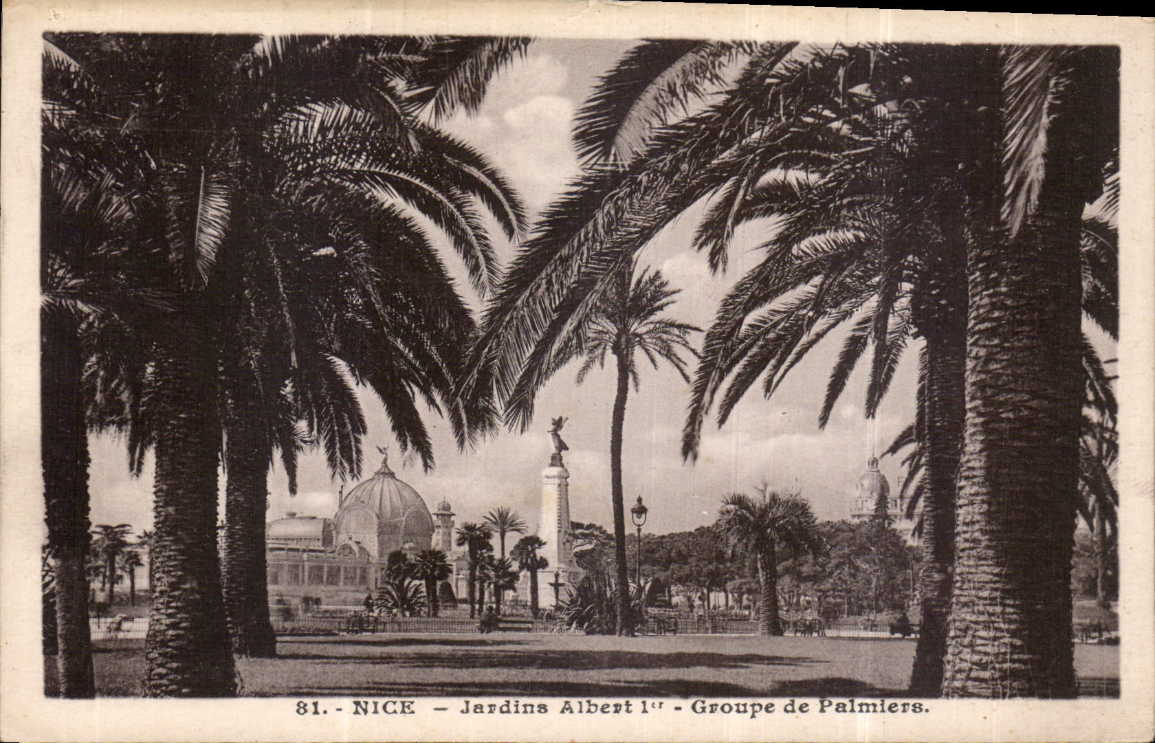 CPA Nice Jardins Albert Ier Groupe de Palmiers