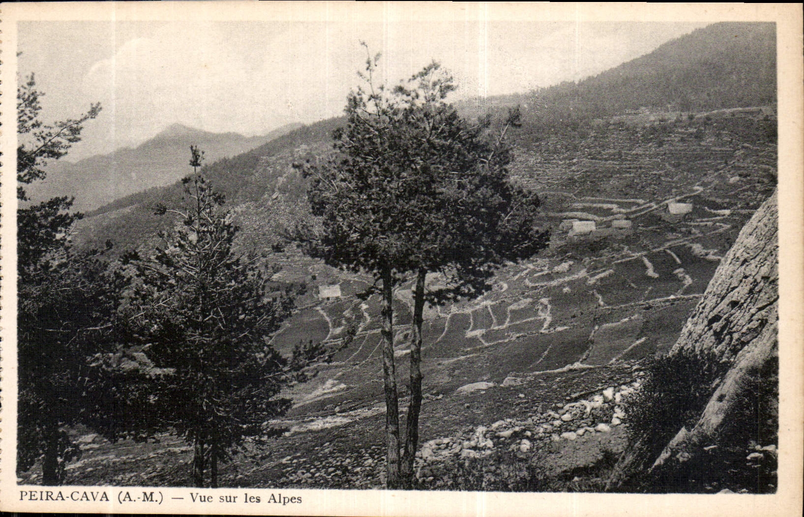 CPA Peira Cava A M vue sur les Alpes 