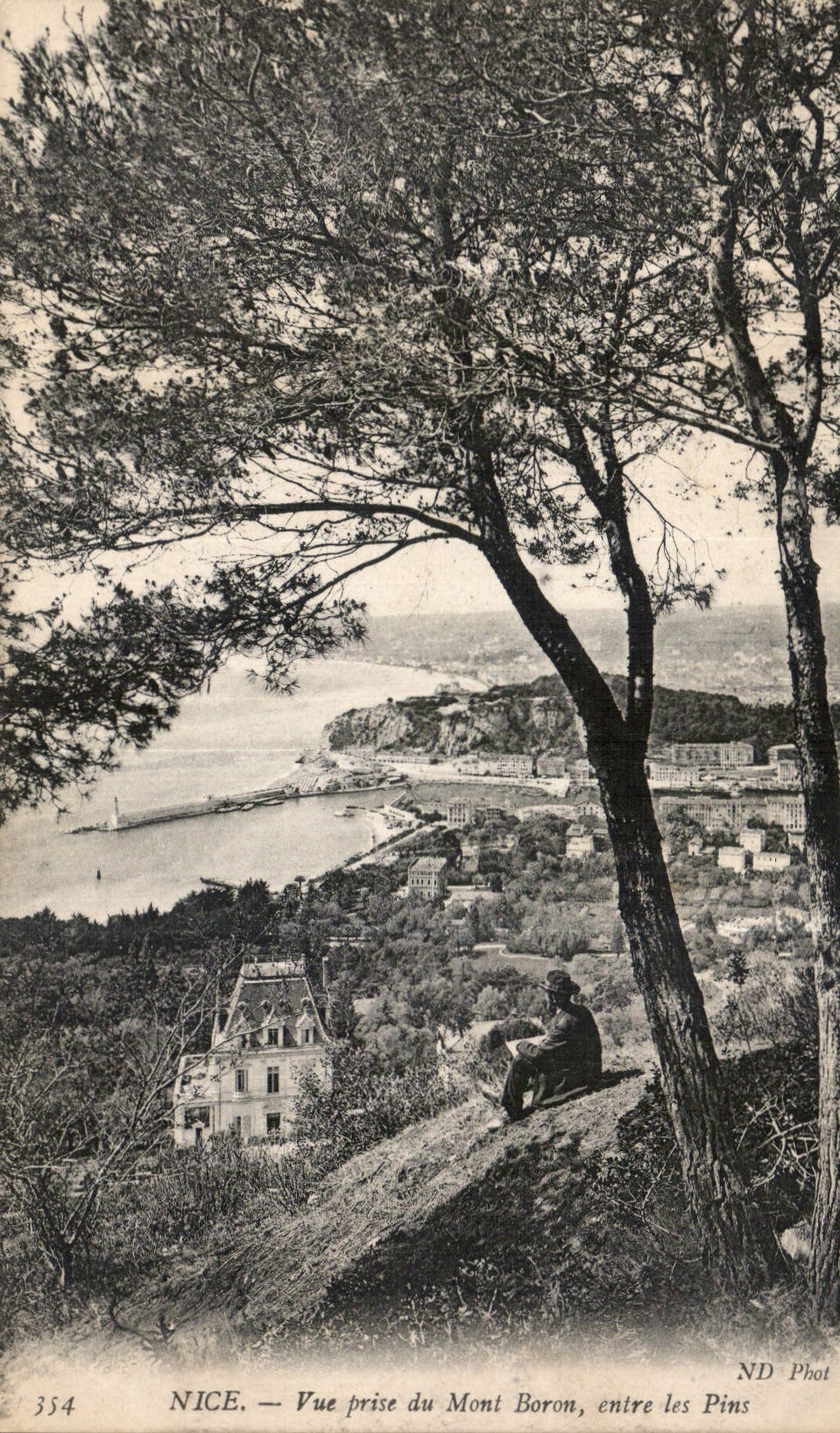 CPA Nice vue prise du mont Bororn entre les Pins 