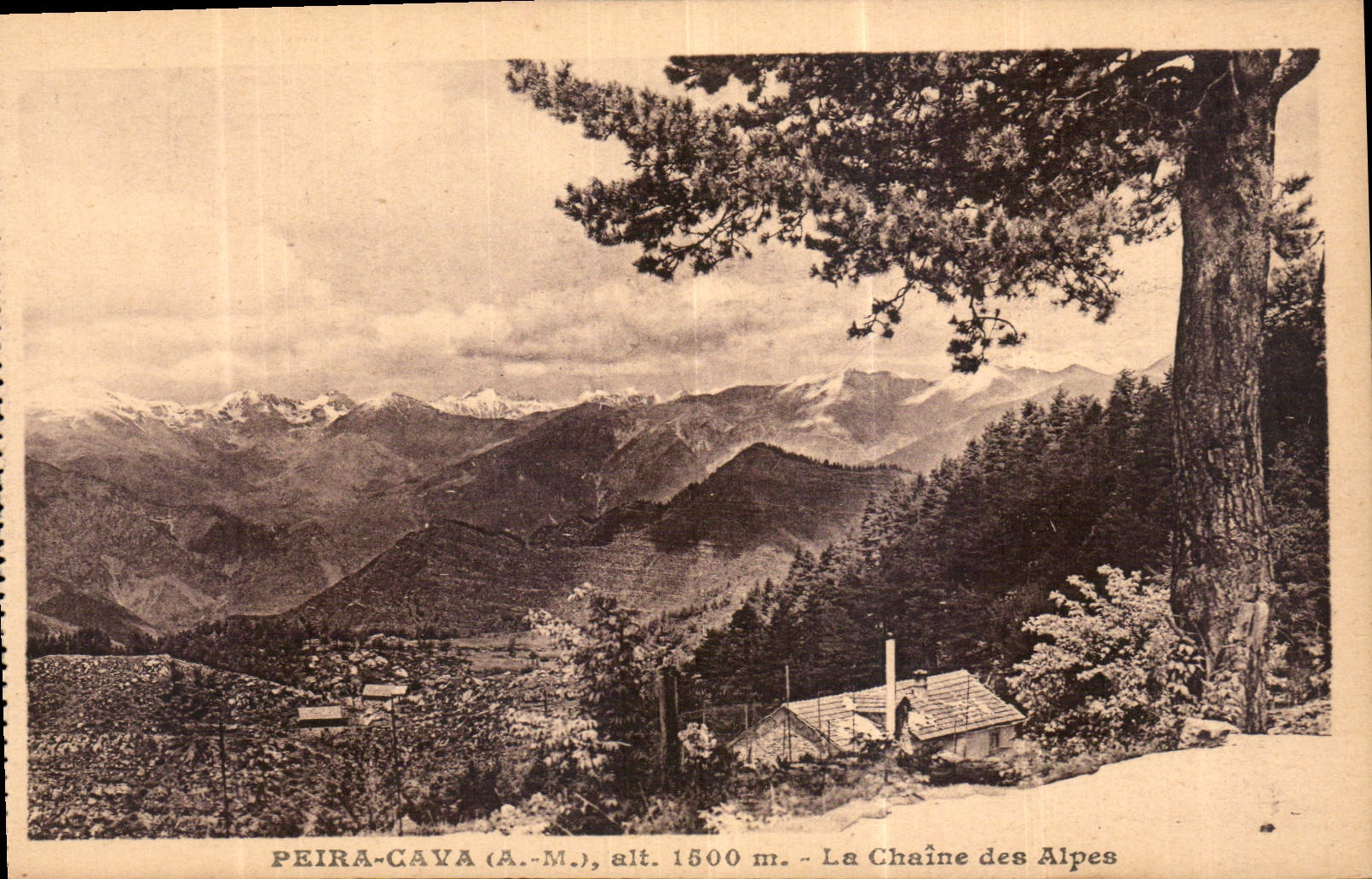 CPA Peira Cava A M la Chaine des Alpes 