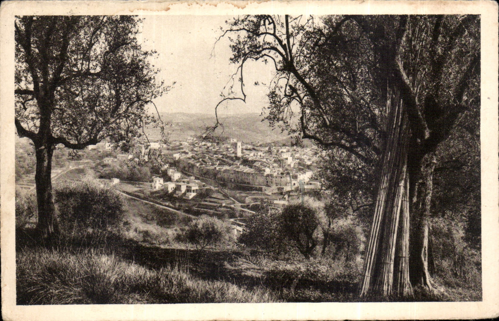 CPA Vence la Jolie vue generale 