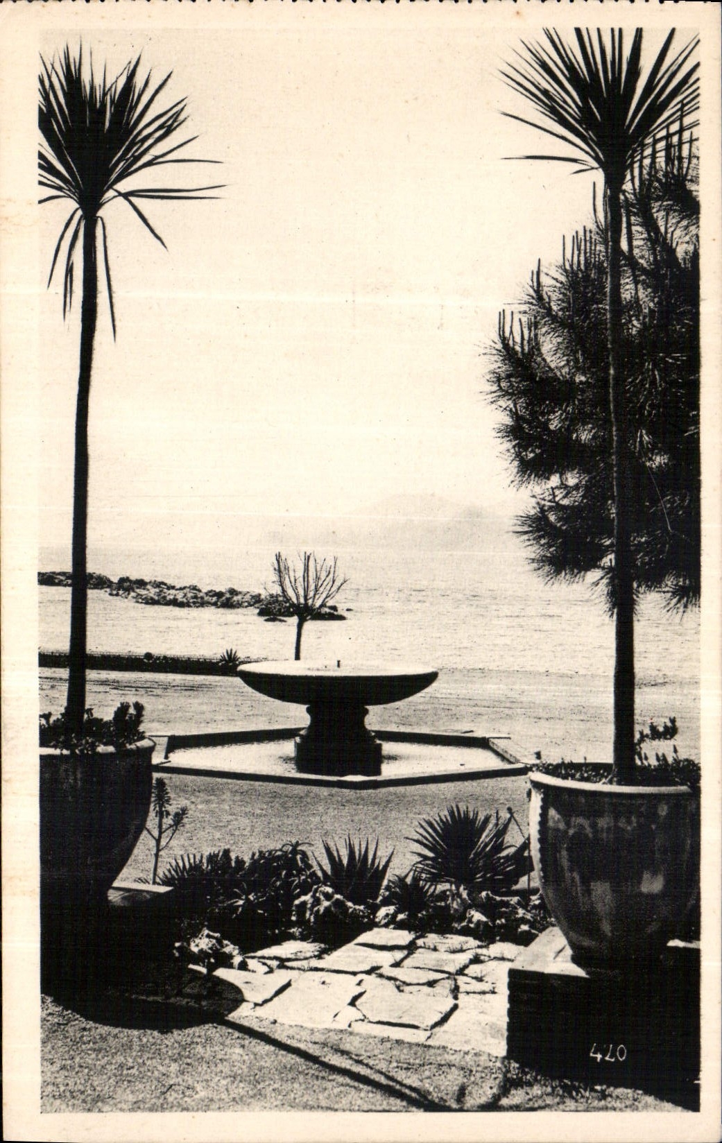 CPA Cannes vue prise des nouveaux Jardins