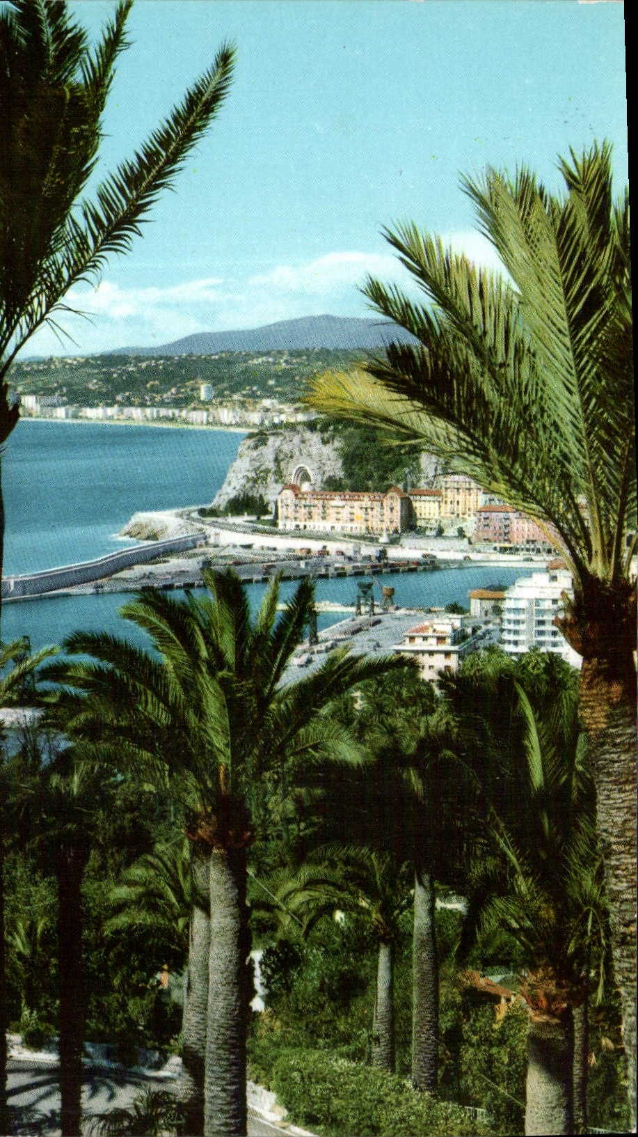 CPA Cote d'Azur Nice le Part la Colline du Chateau et la Baie des Anges 