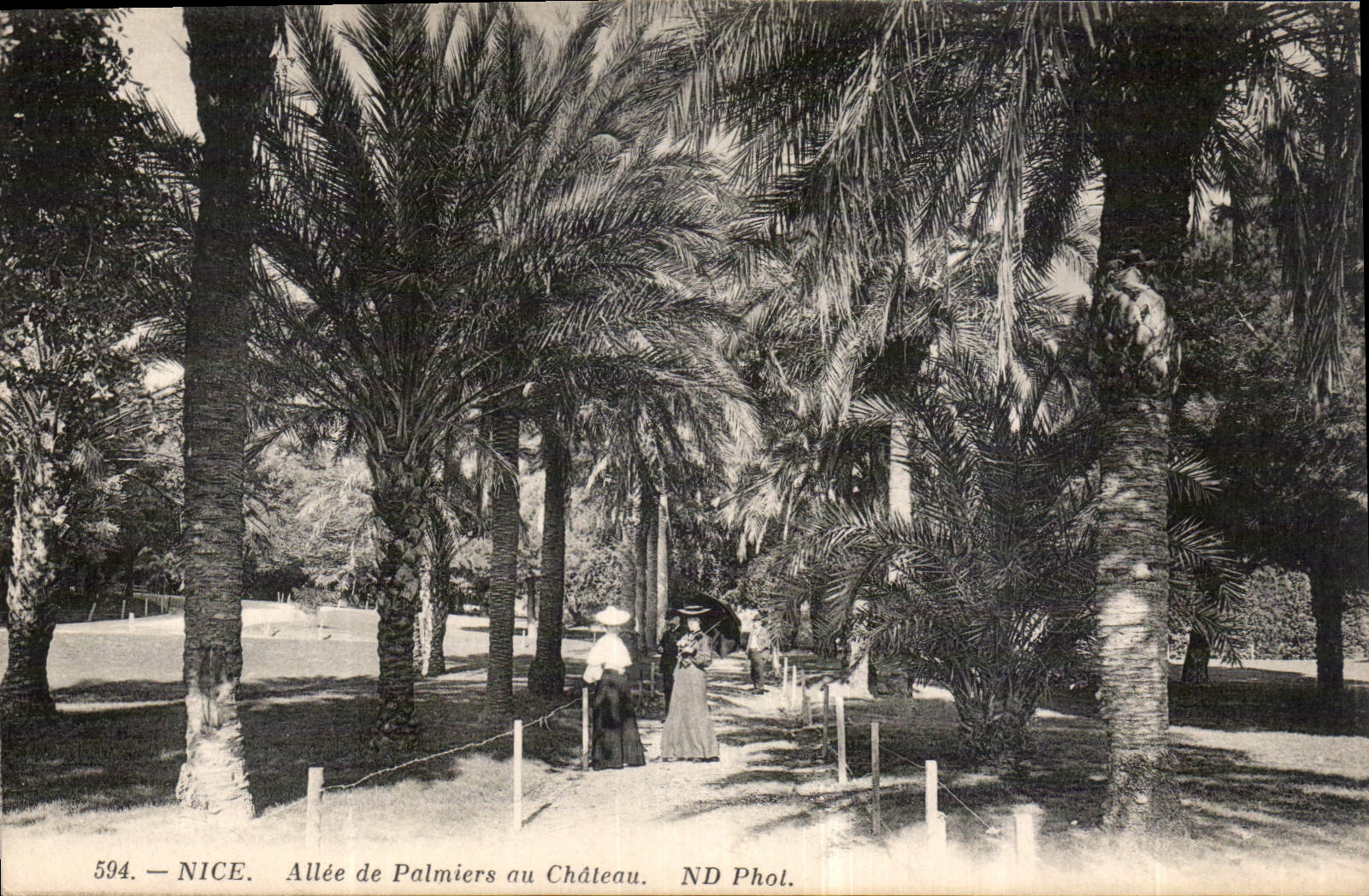 CPA Nice Allee de Palmiers au Chateau 
