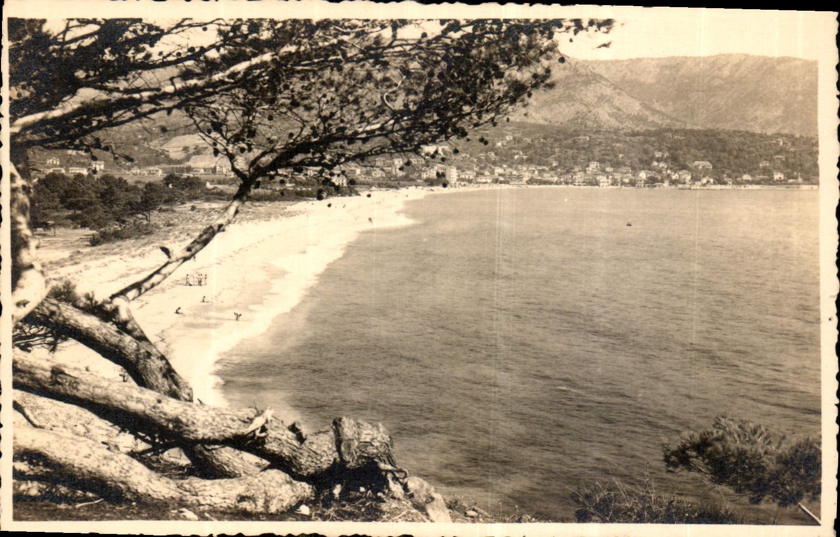 CPA Cote des Maures le Lavandou 