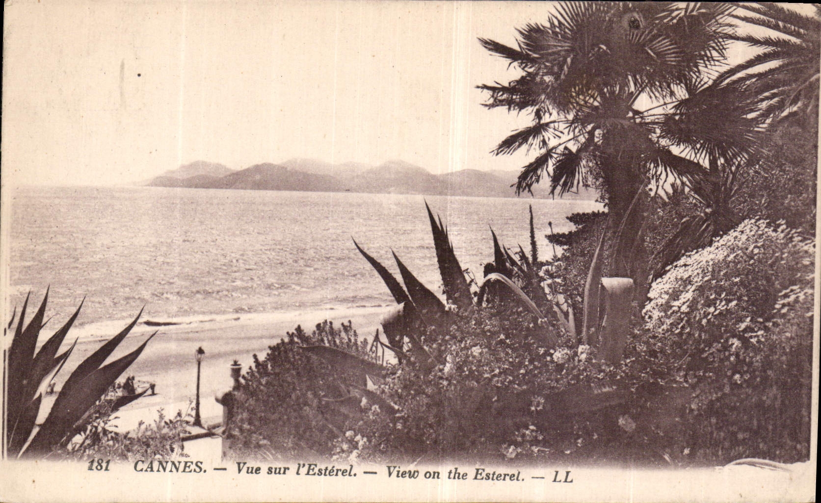 CPA Cannes vue sur l'Esterel 