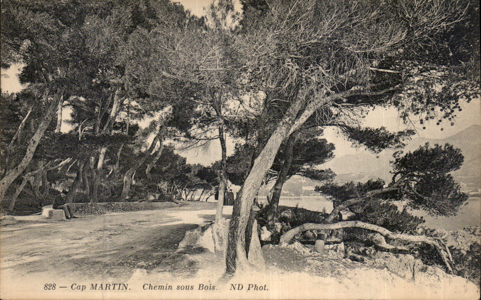 CPA Cap Martin Chemin sous Bois 