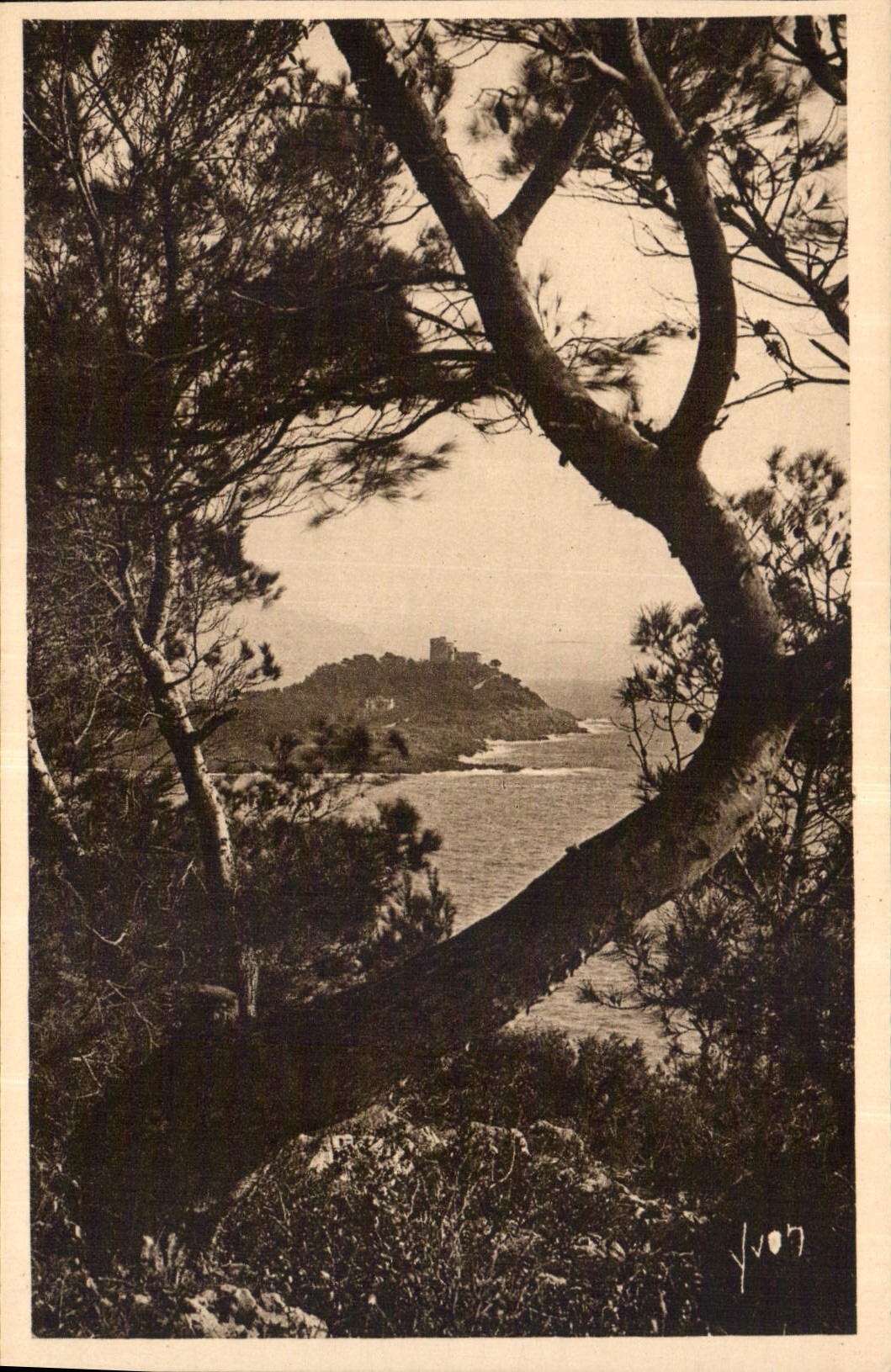 CPA Cote d'Azur Le Cap Ferrat vu a travers les Pins d'Alep