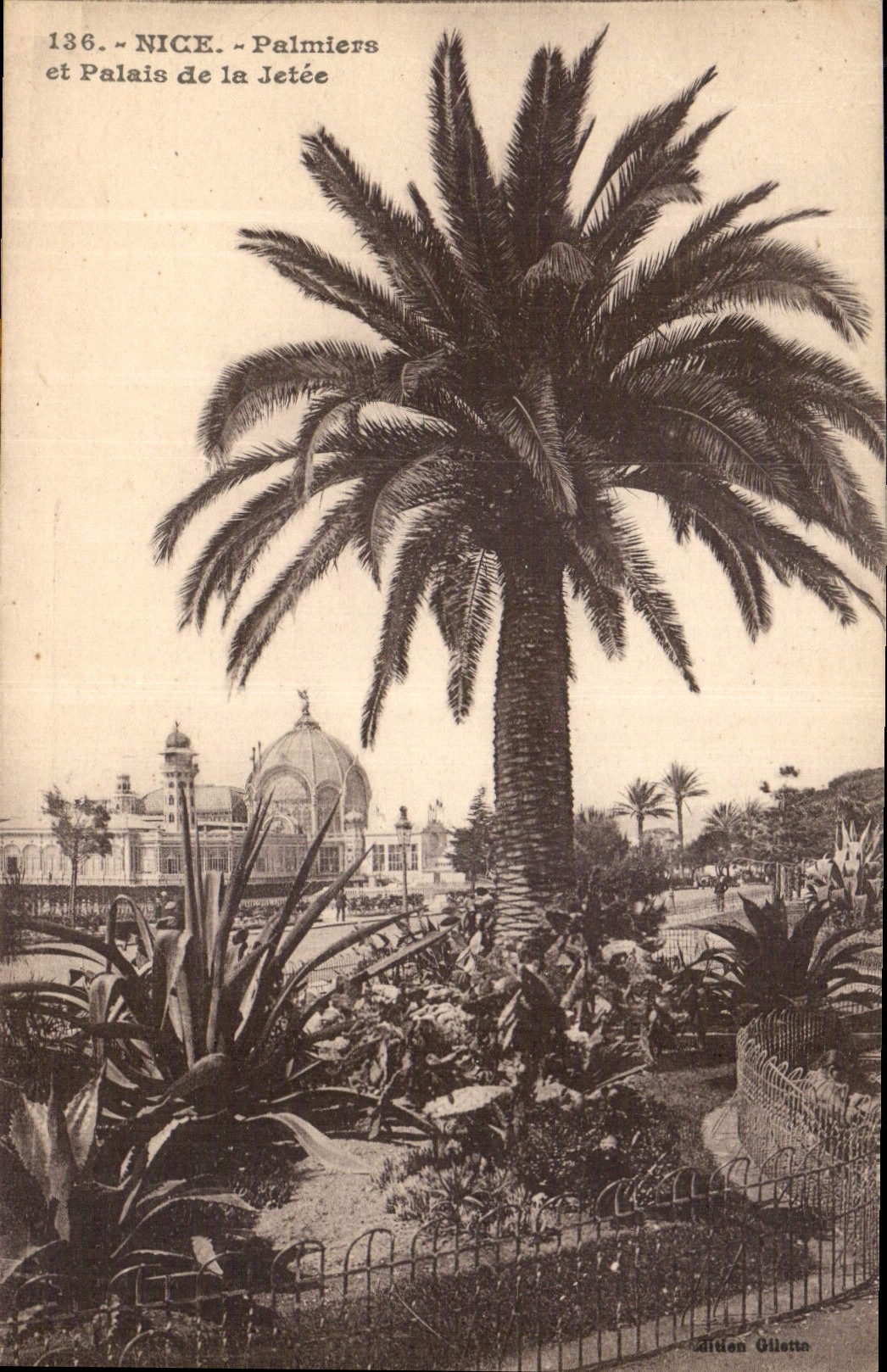 CPA Nice Palmiers et Palais de la Jetee 