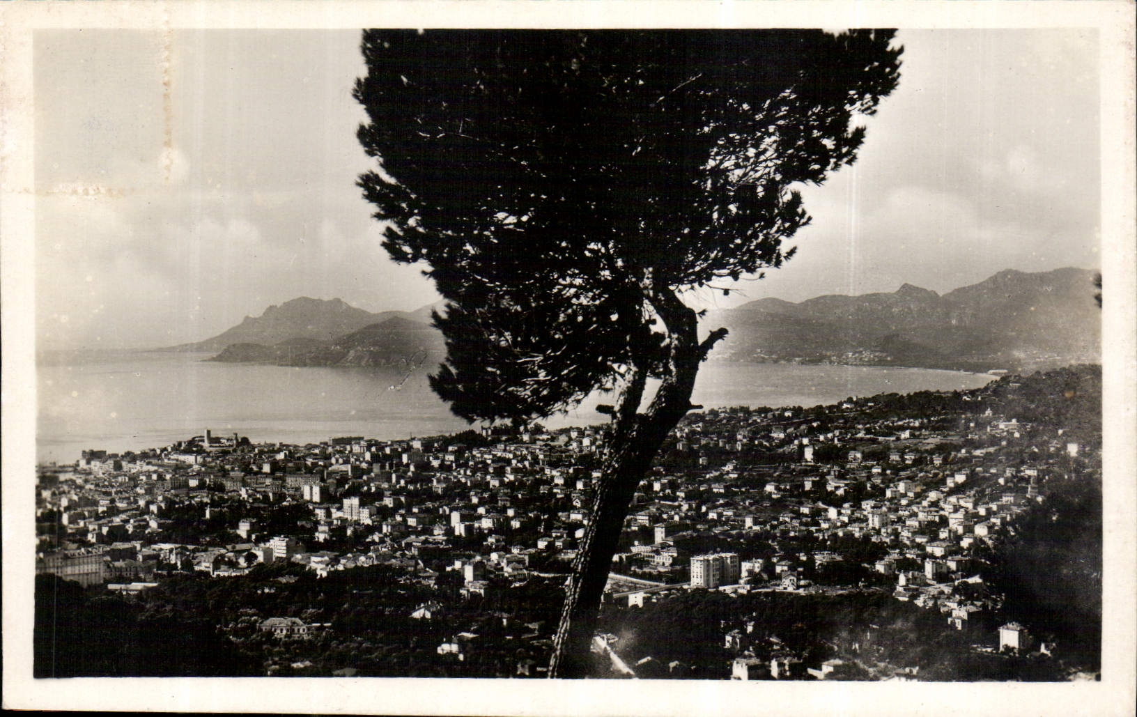 CPA Cannes Vue generale 
