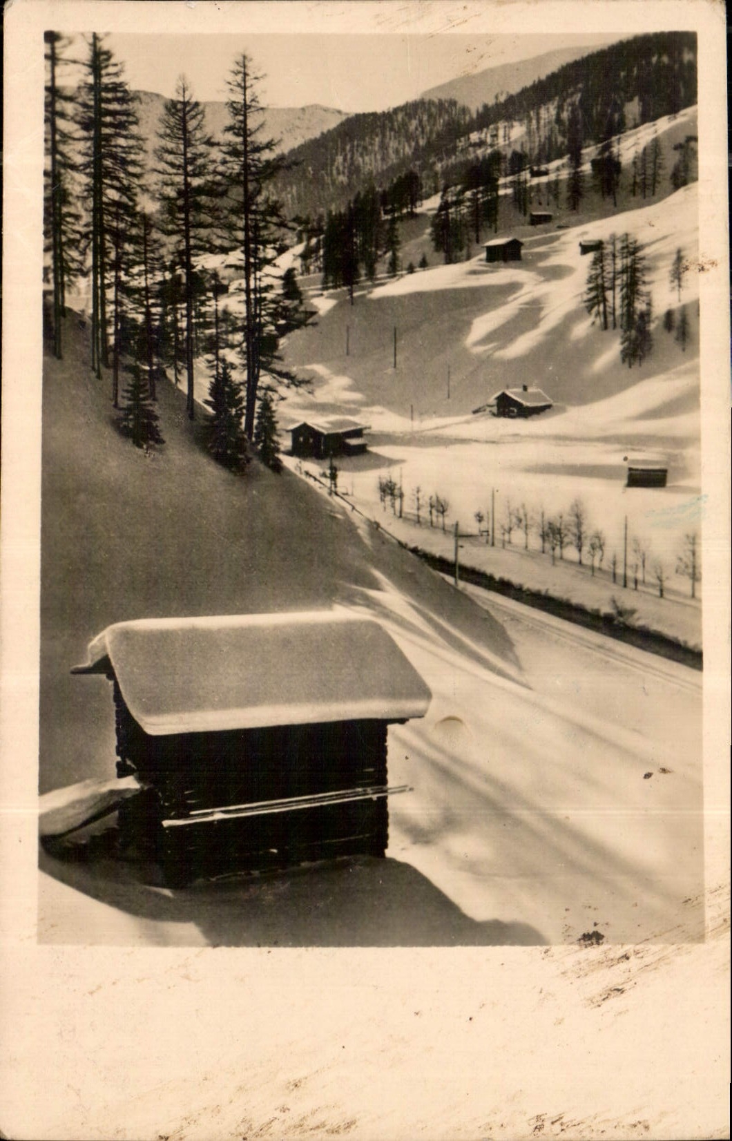 CARTE PHOTO Neige