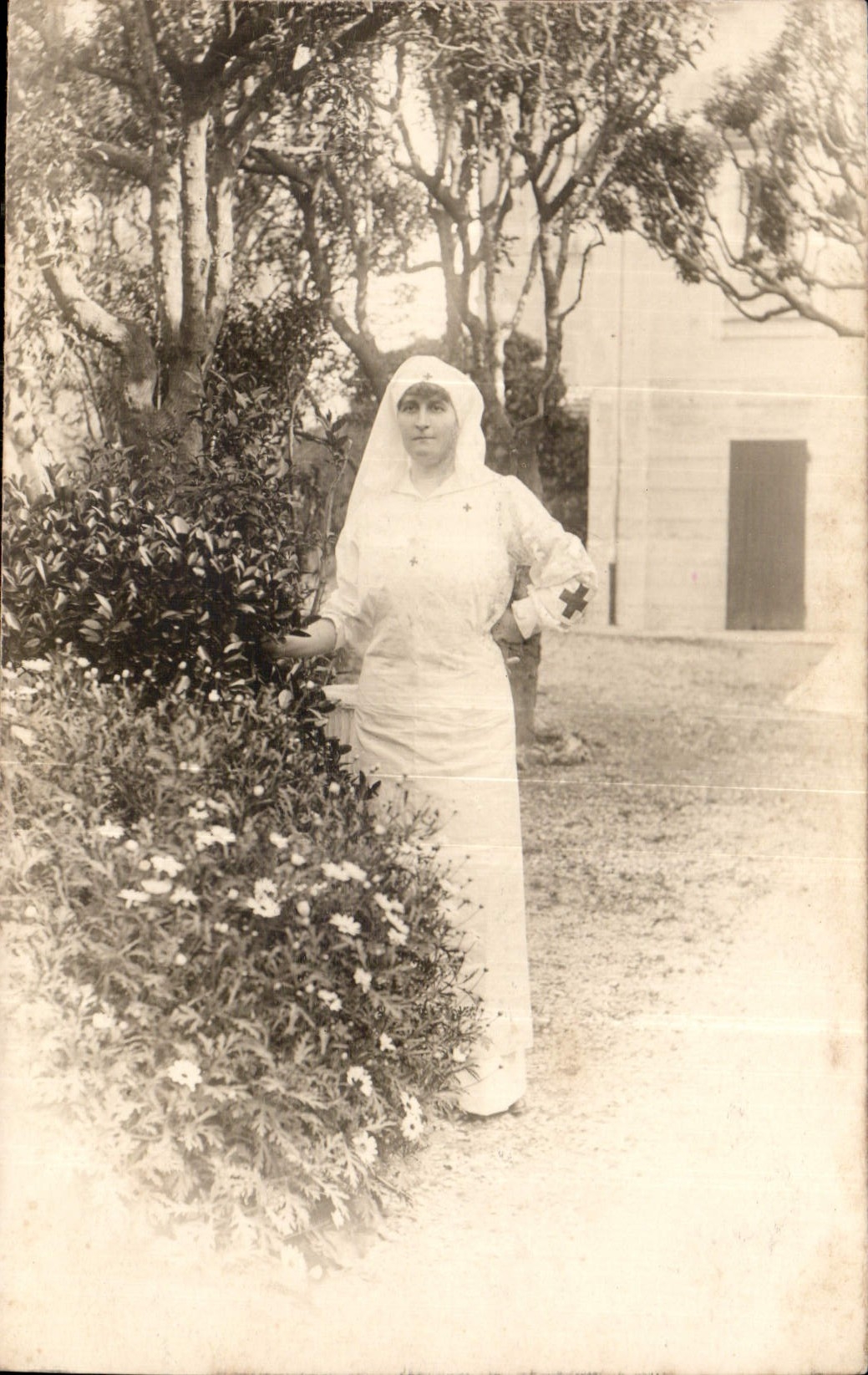 CARTE PHOTO Femme Infirmiere Croix Rouge