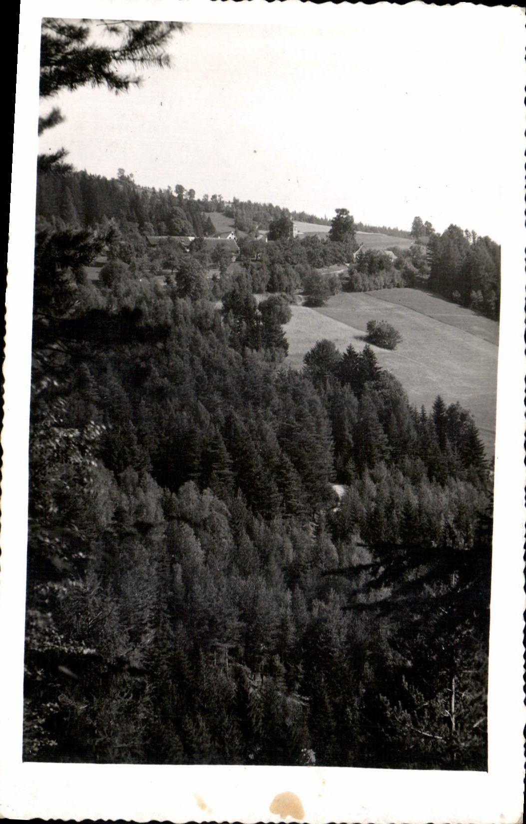 CARTE PHOTO paysage