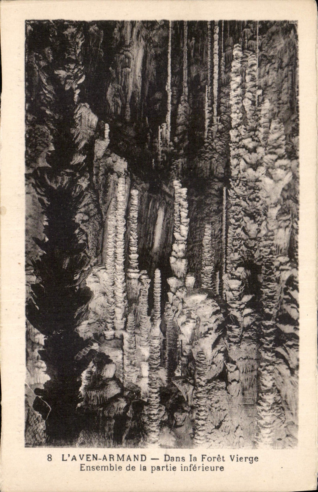 CPA L'Aven Armand Dans la Foret Vierge Ensemble de la Partie interieure