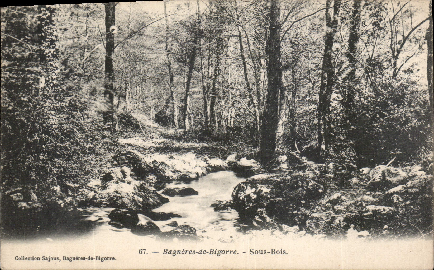 CPA Bagneres de Bigorre Sous Bois 