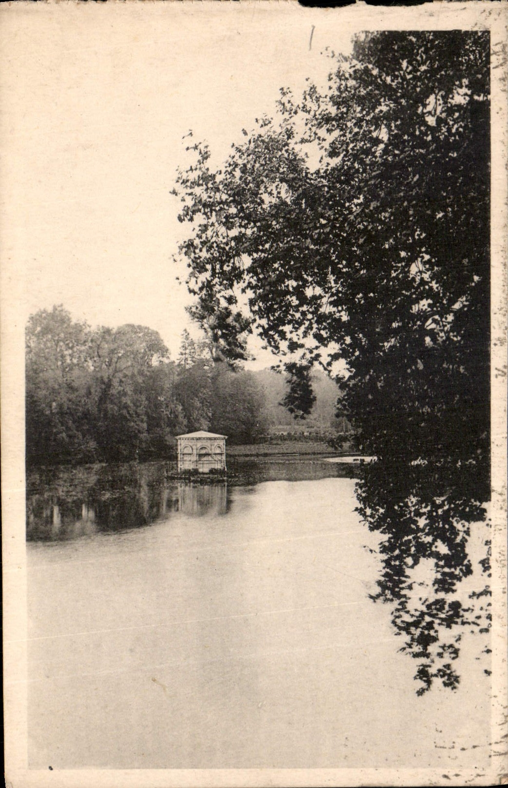 CPA Chateau de Fontainebleau l'Etang des Carpes 