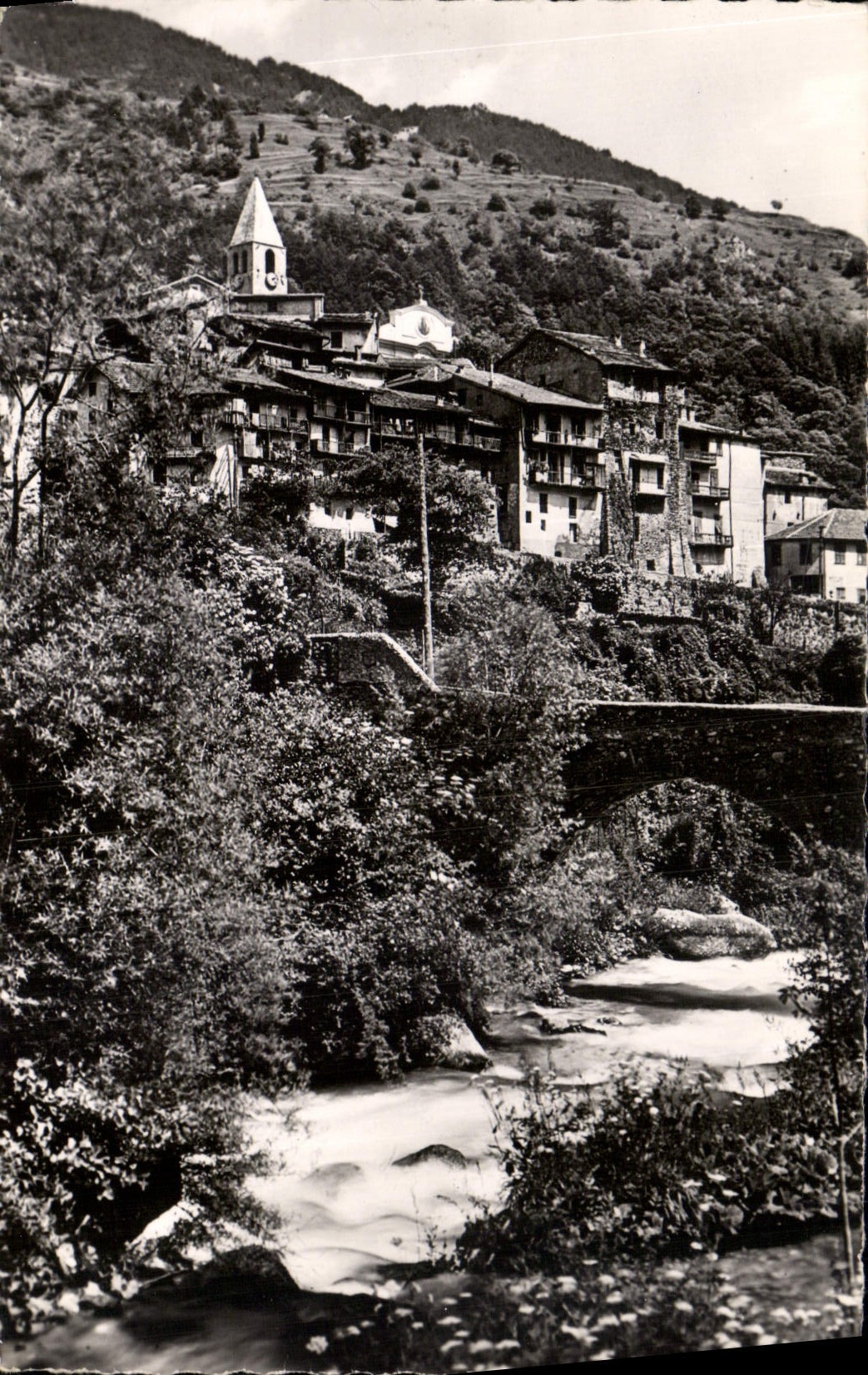 CPA St Martin Vesubie la Suisse Nicoise