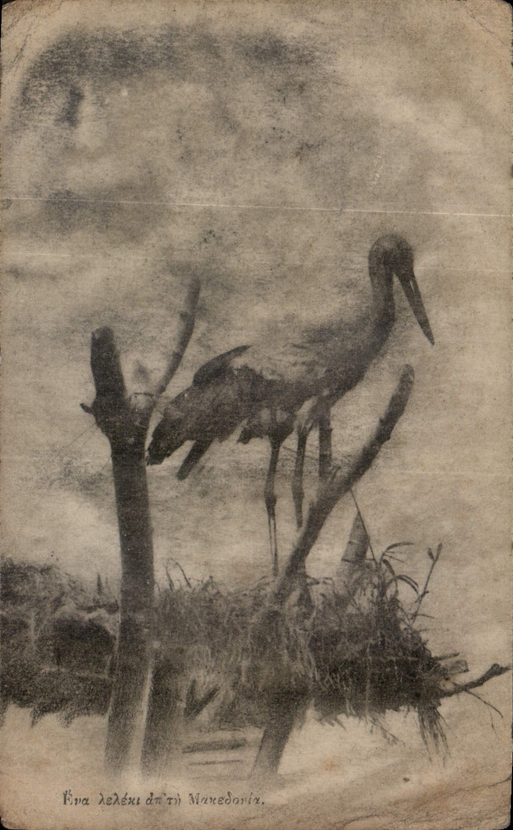 CPA Cigogne