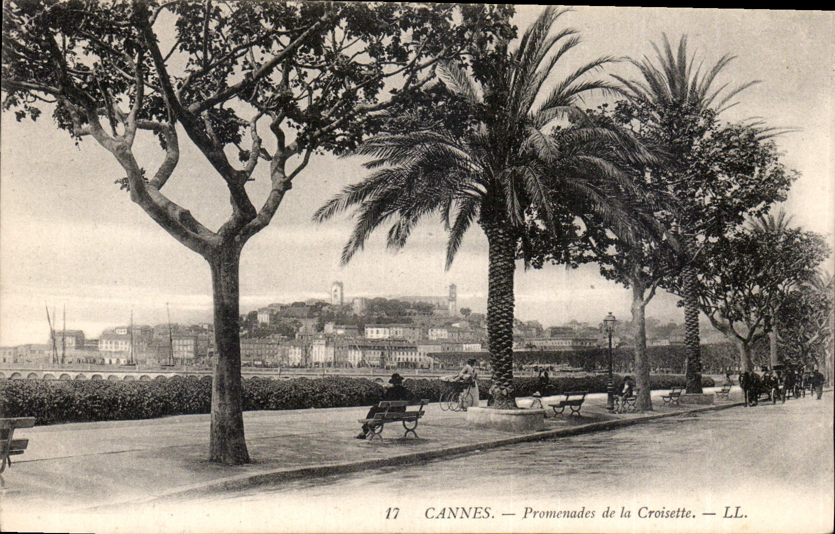 CPA Cannes Promenades de la Croisette 
