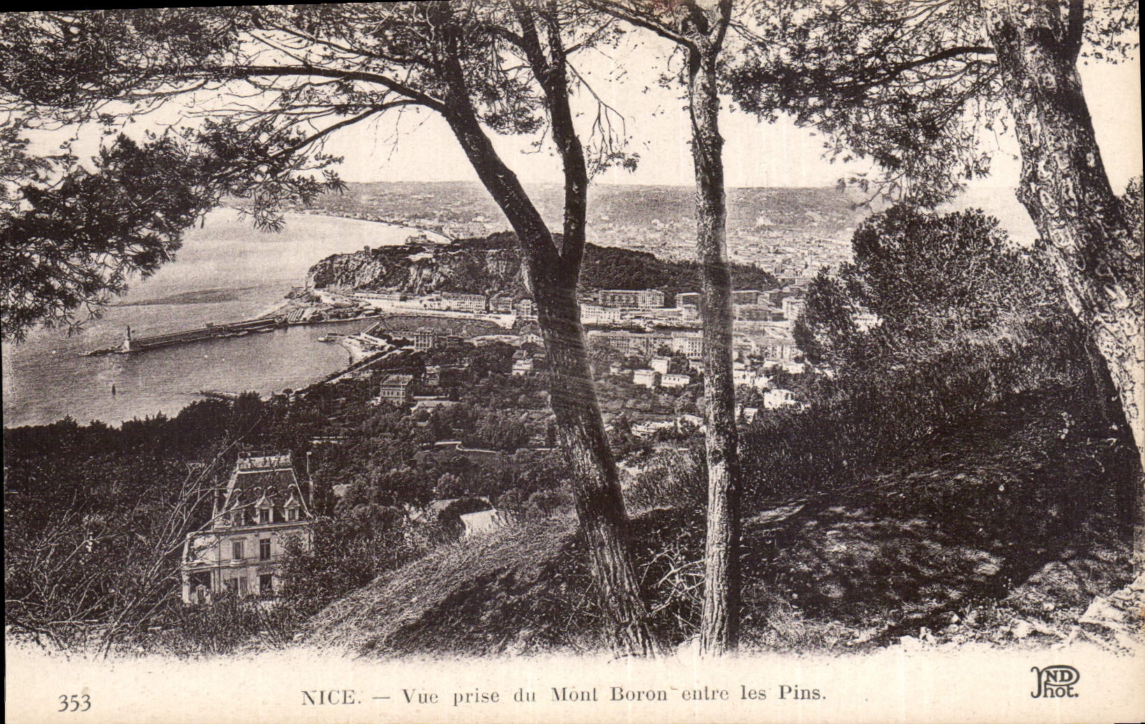 CPA Nice vue prise du Mont Boron ontre les Pins