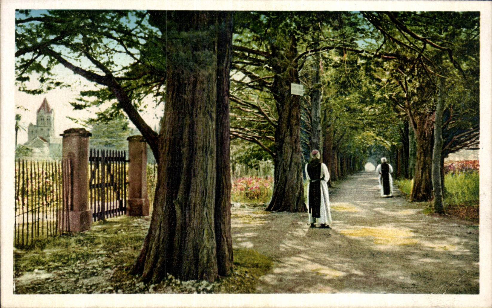 CPA Ile Saint Honorat Allee des Cypres conduisant au Monastere
