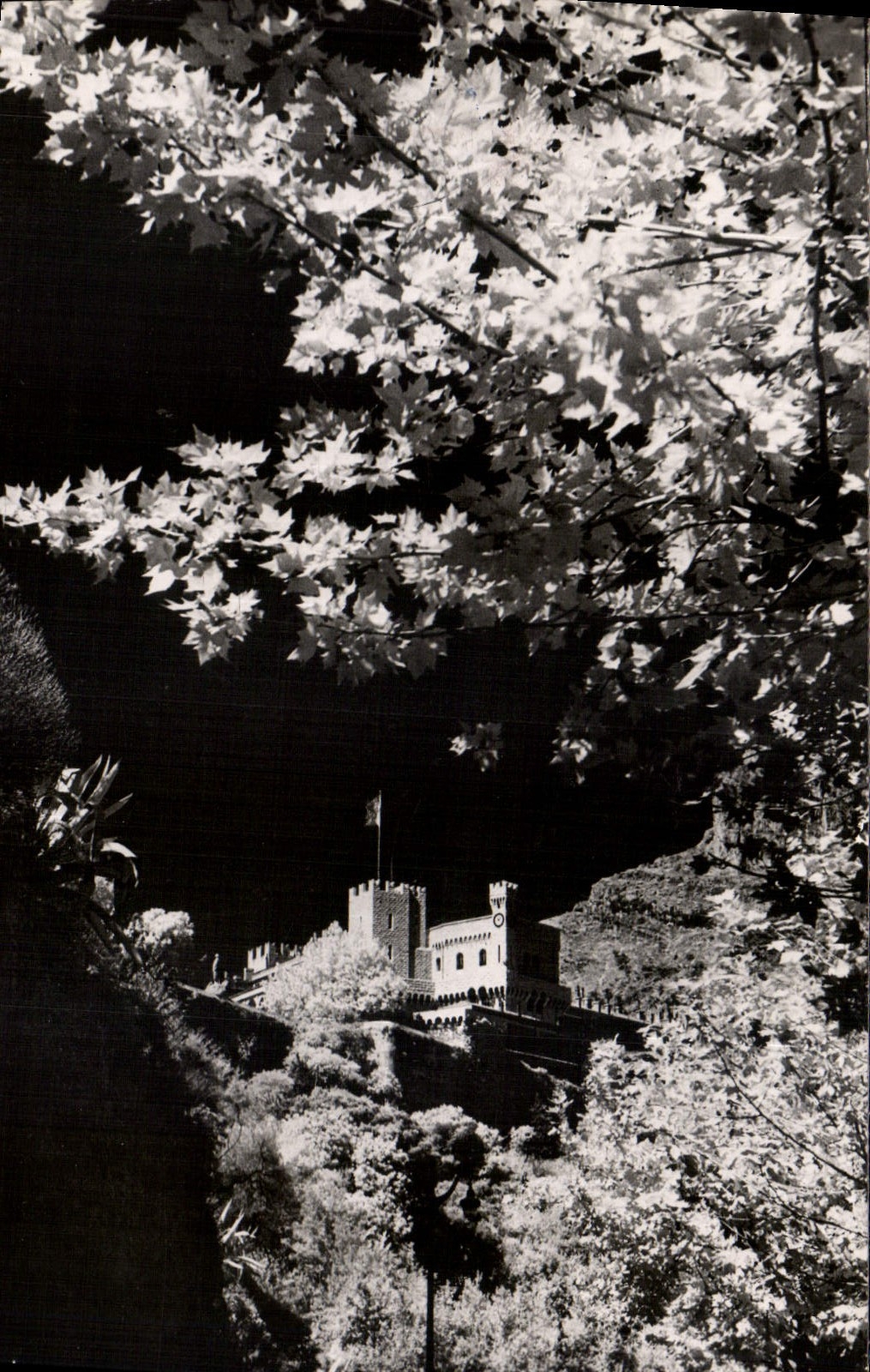 CPA Le Palais de Monaco 