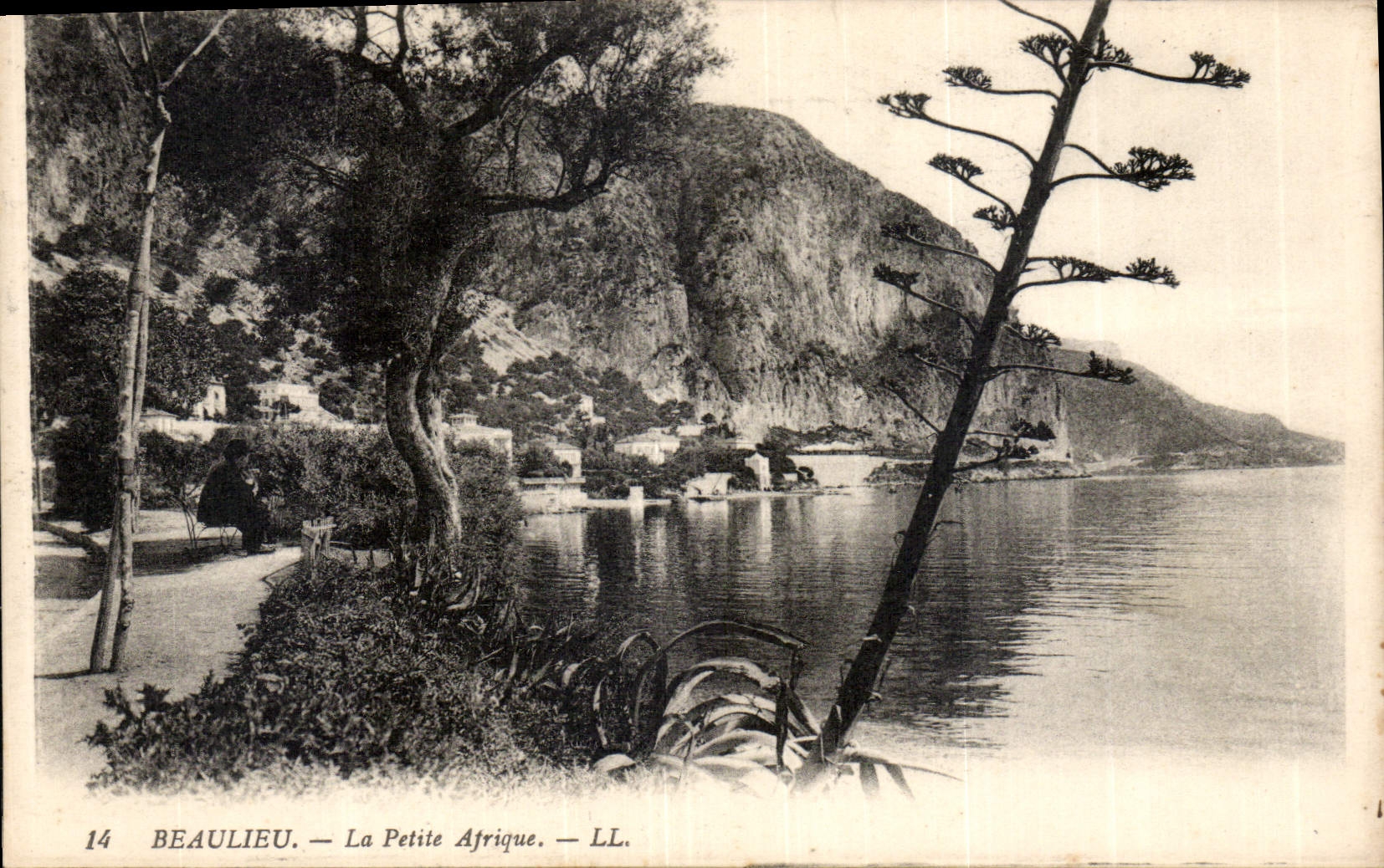 CPA Beaulieu la Petite Afrique 