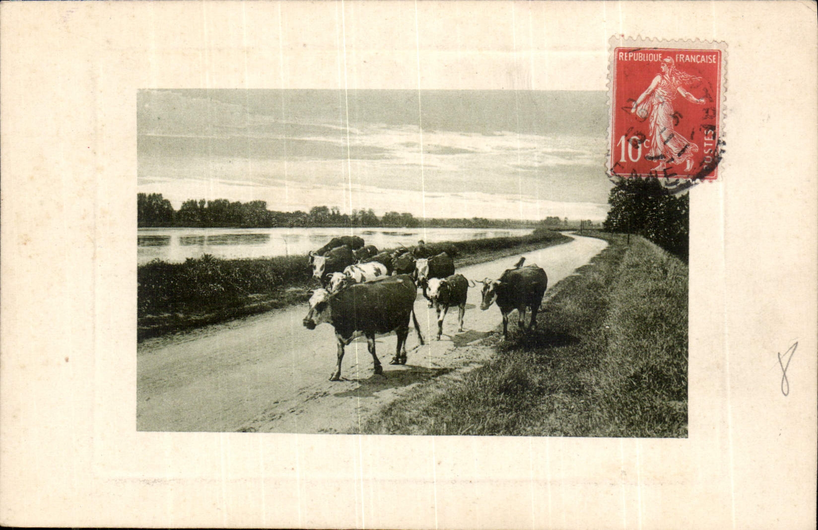 CPA Vaches