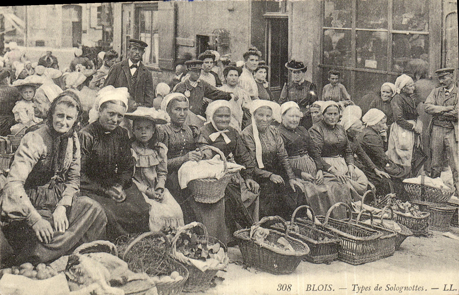 REPRO Blois Types de Solognottes 
