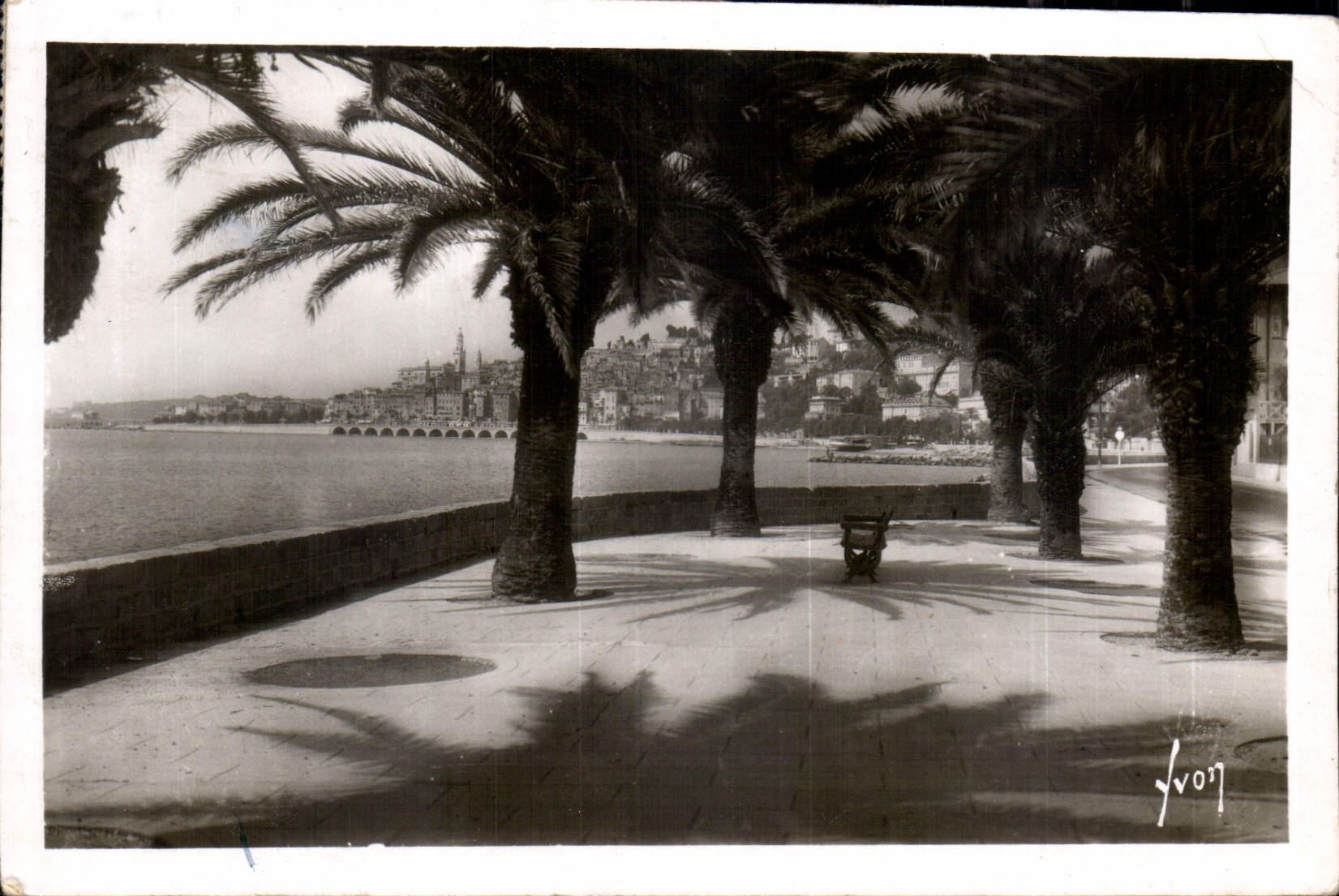CPA Menton Alpes Mmes la vile vue a travers les Palmiers