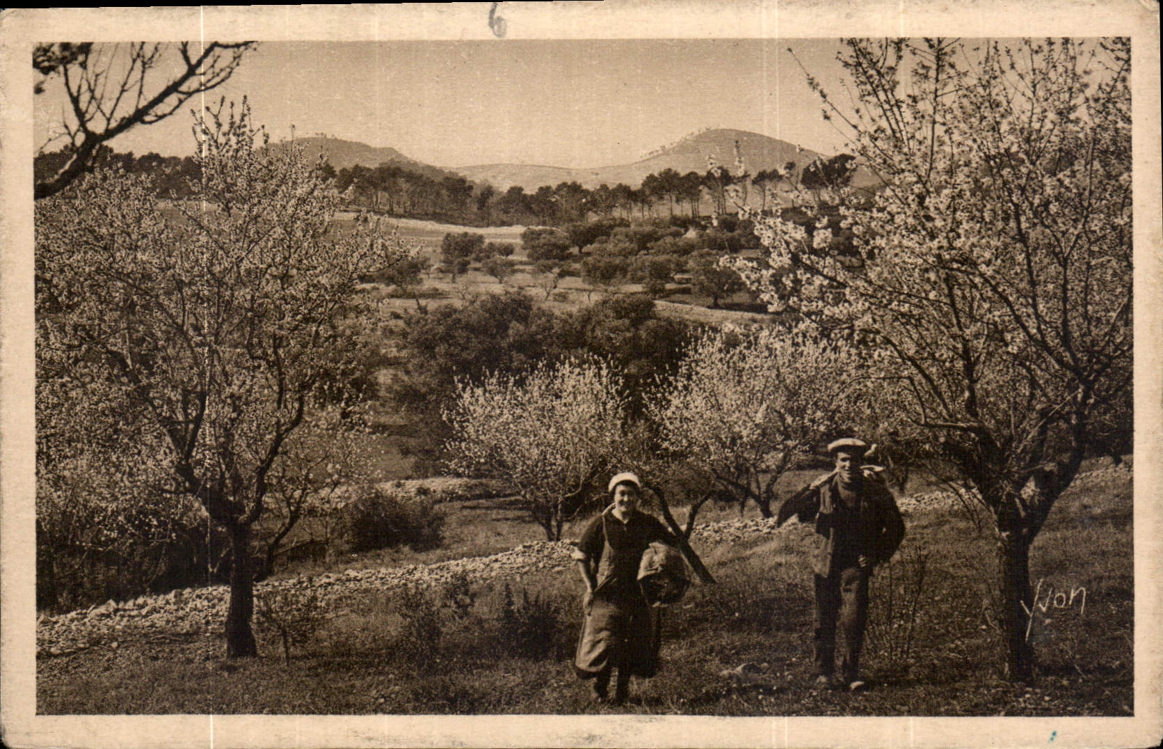 CPA Cote d'Azur Printemps 